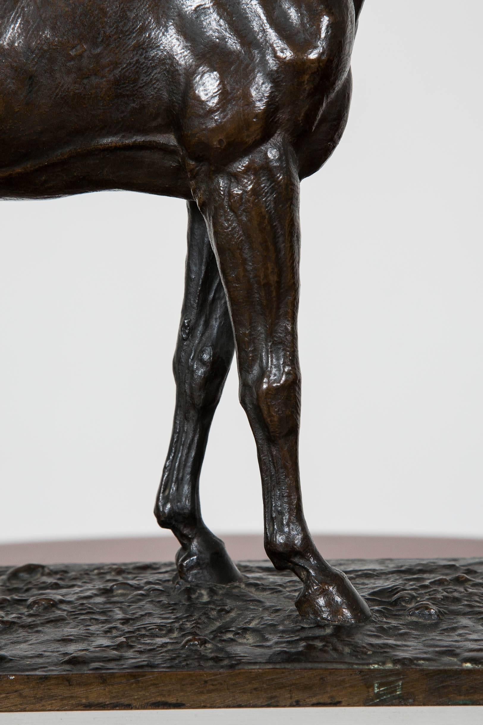 French Horse Bronze by C Fratin