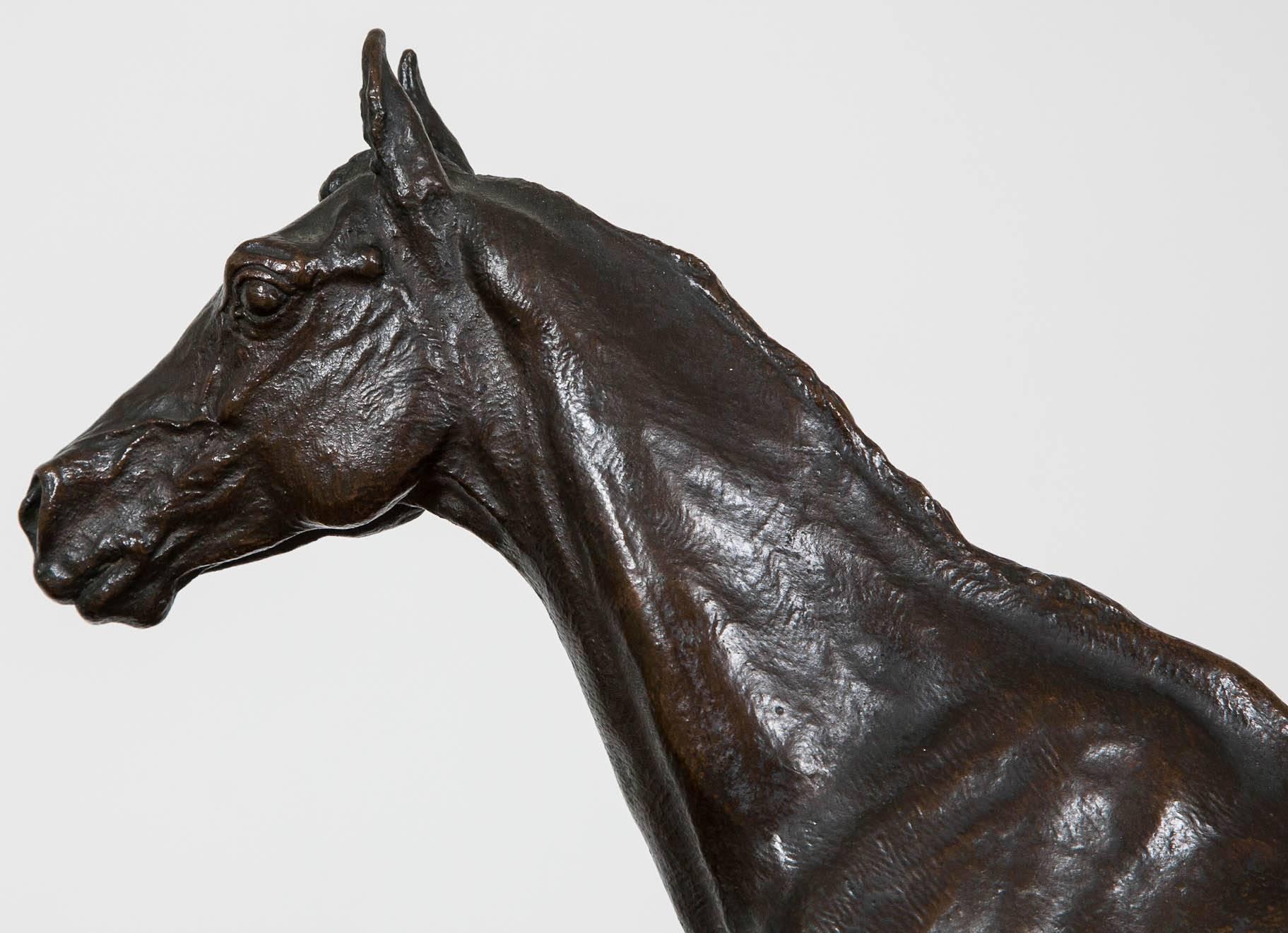 Horse Bronze by C Fratin 2