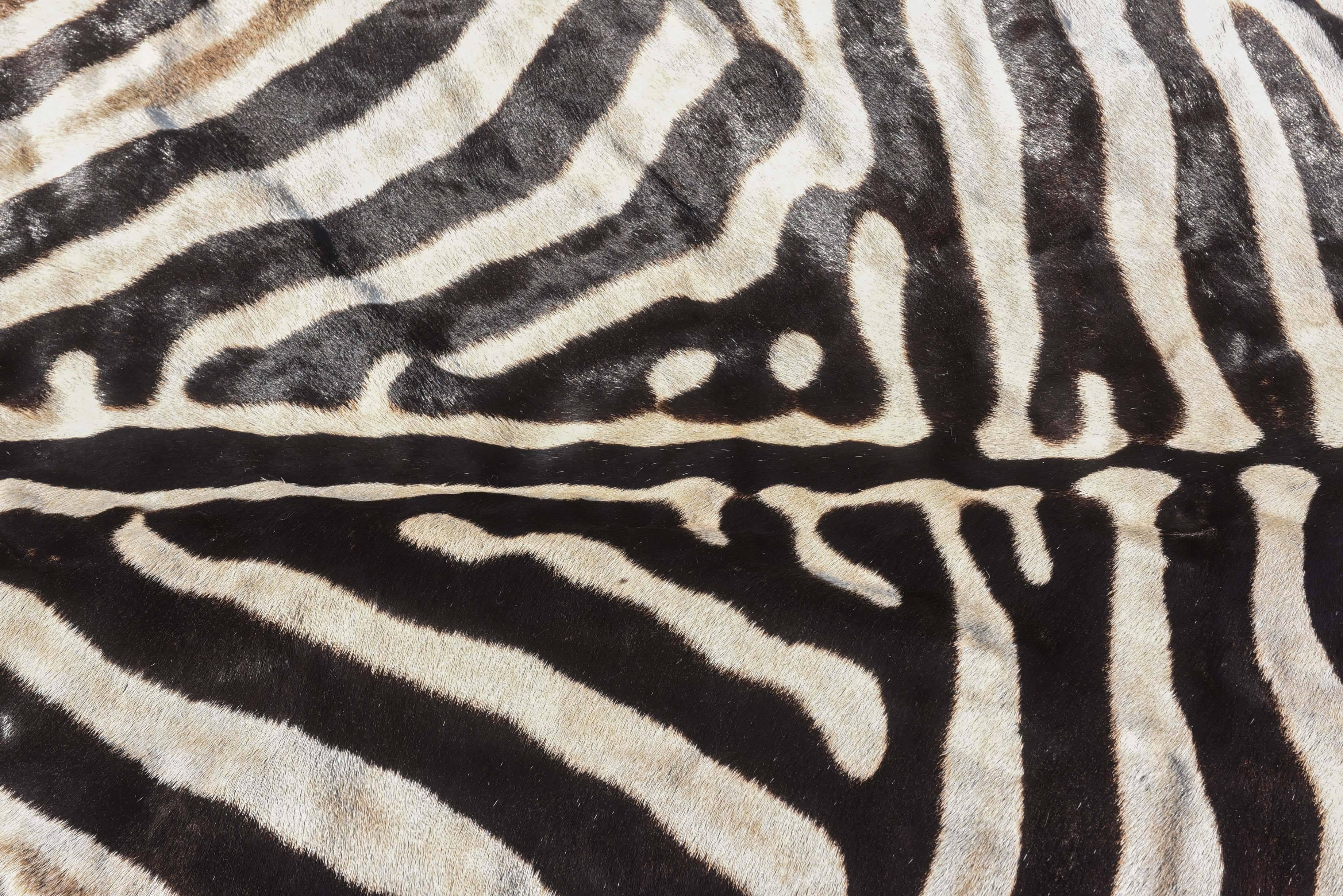 Hand-Crafted Finely Figured Zebra Hide Rug