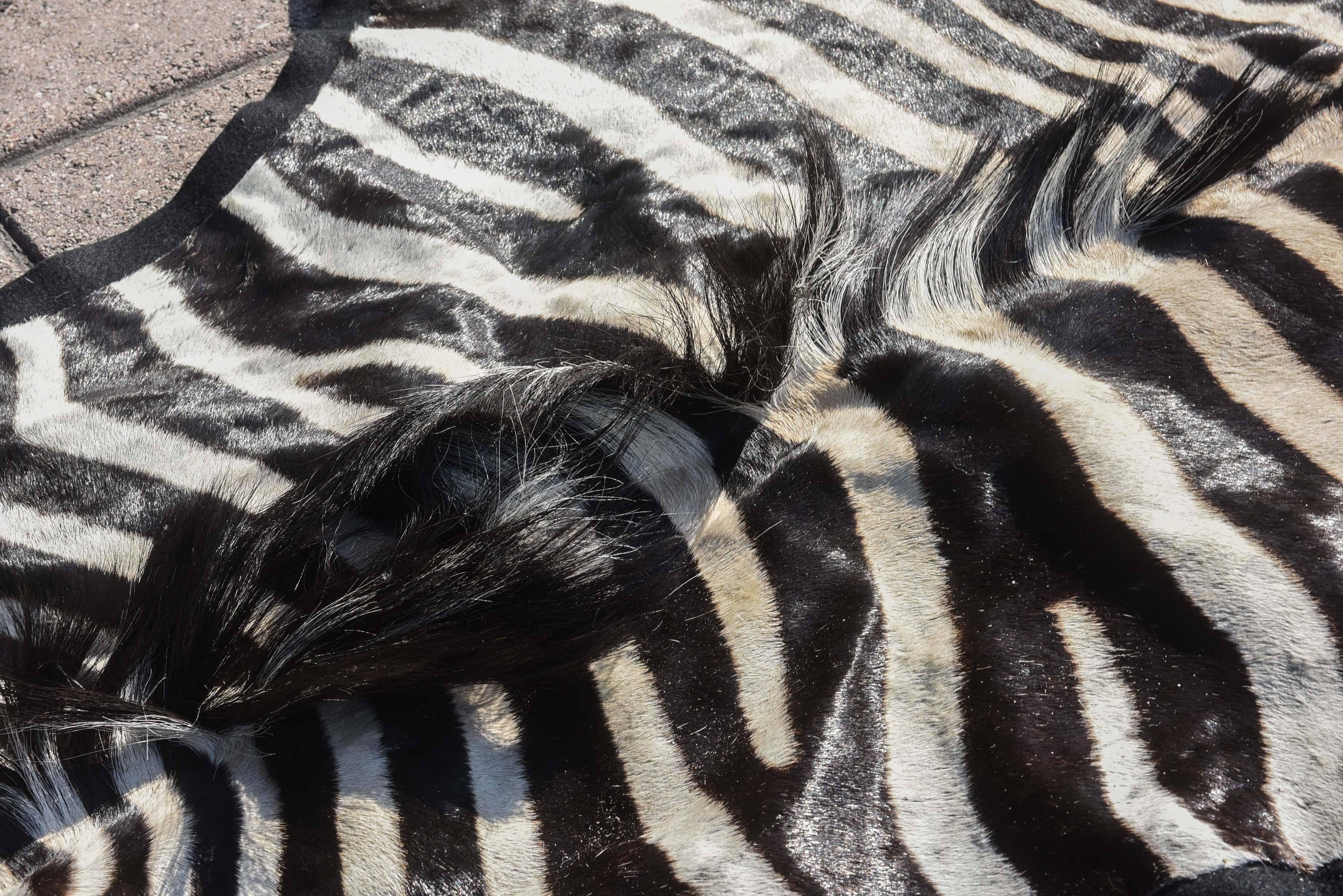 Animal Skin Finely Figured Zebra Hide Rug