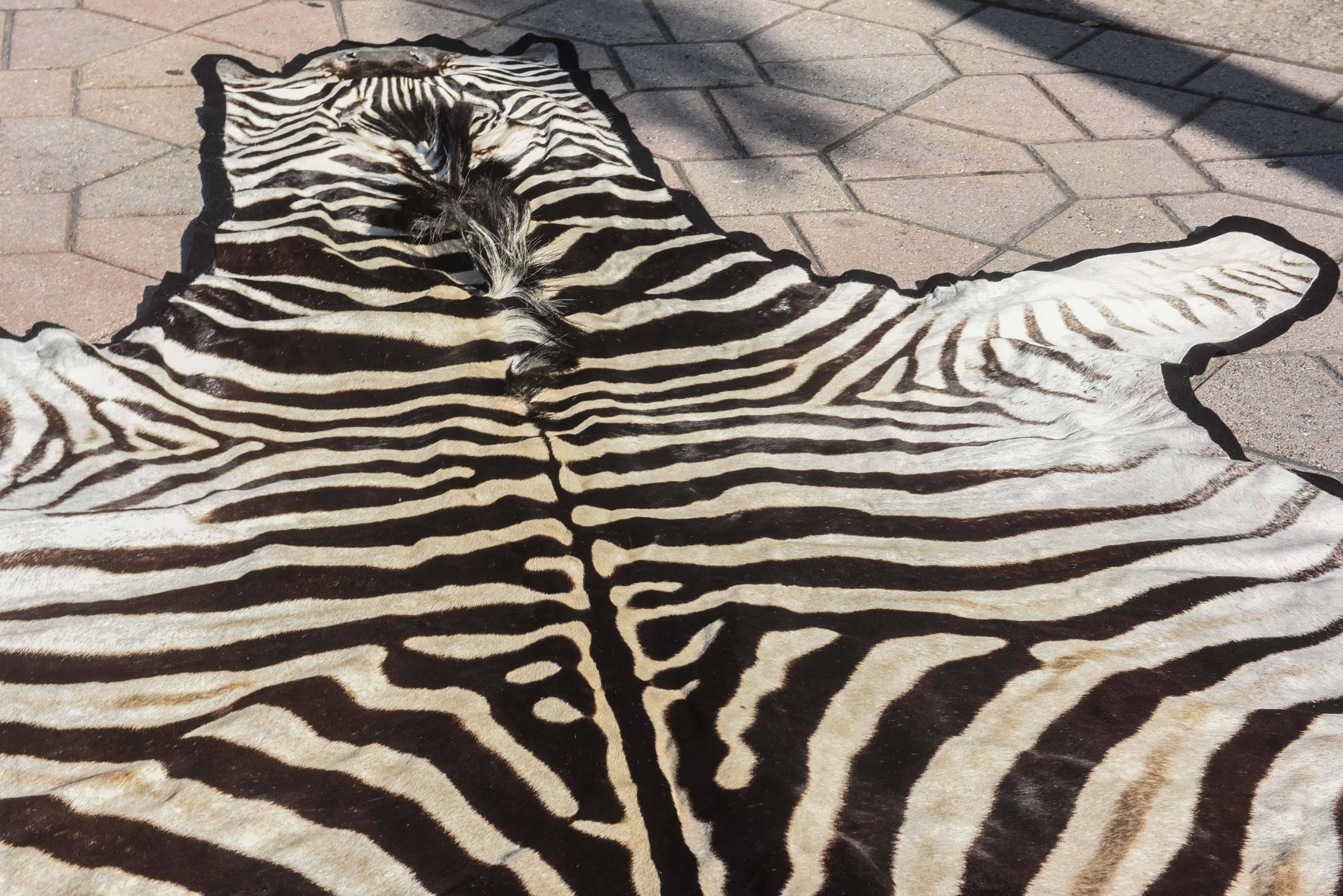 Finely Figured Zebra Hide Rug 2