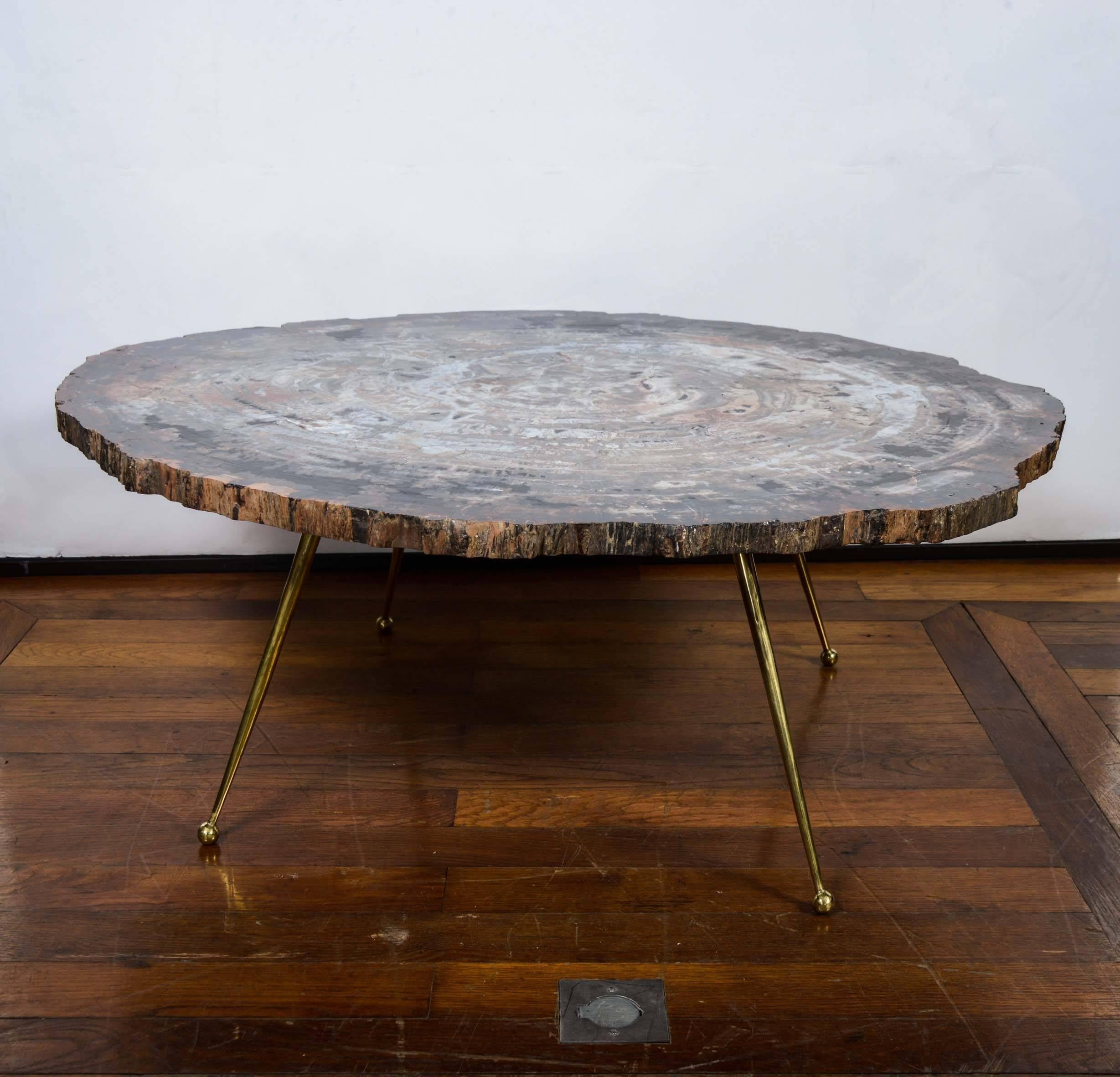 Low table in petrified wood with four brass feet, creation by Galerie Glustin, limited edition.