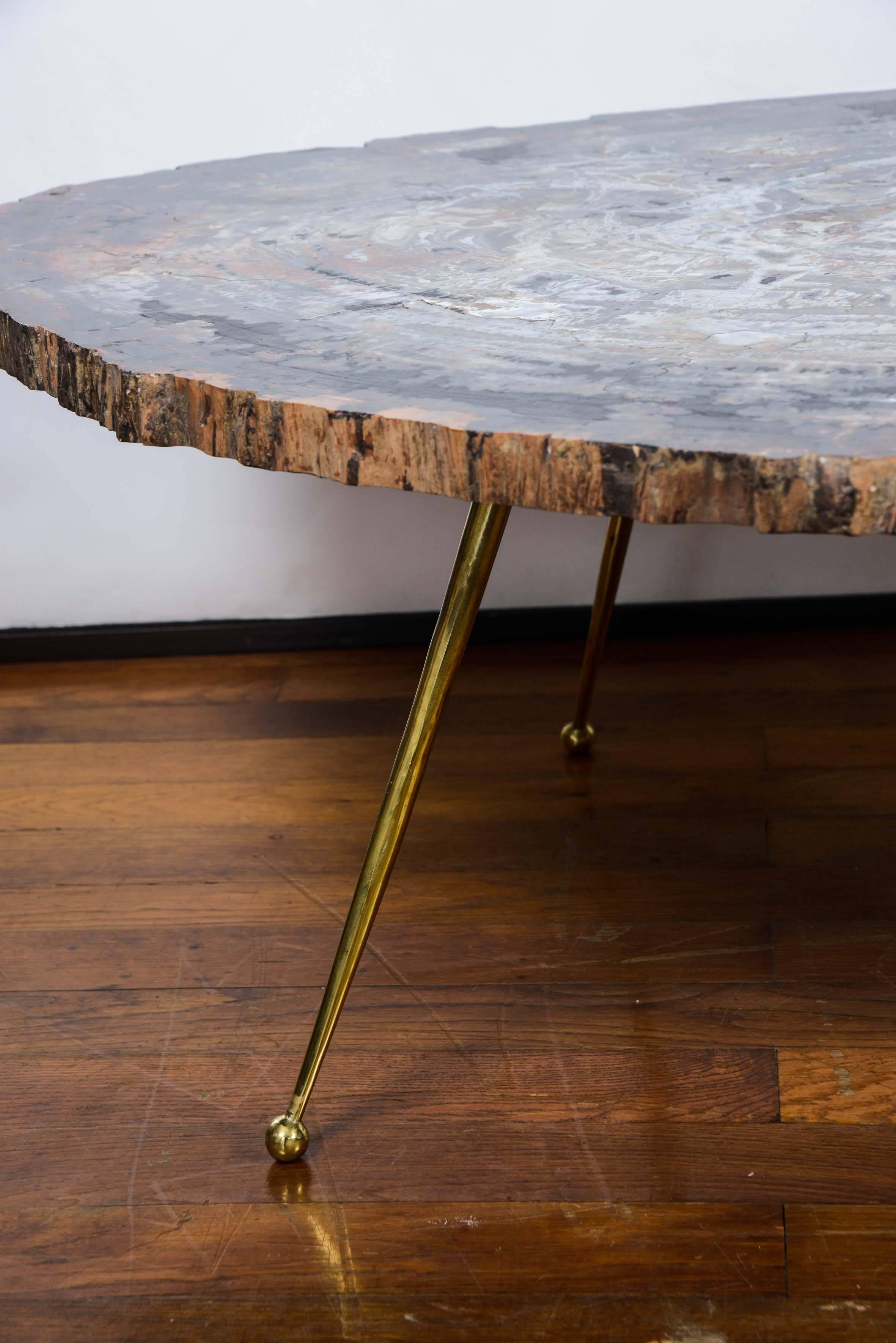 Modern Free Shape Petrified Wood Coffee Table
