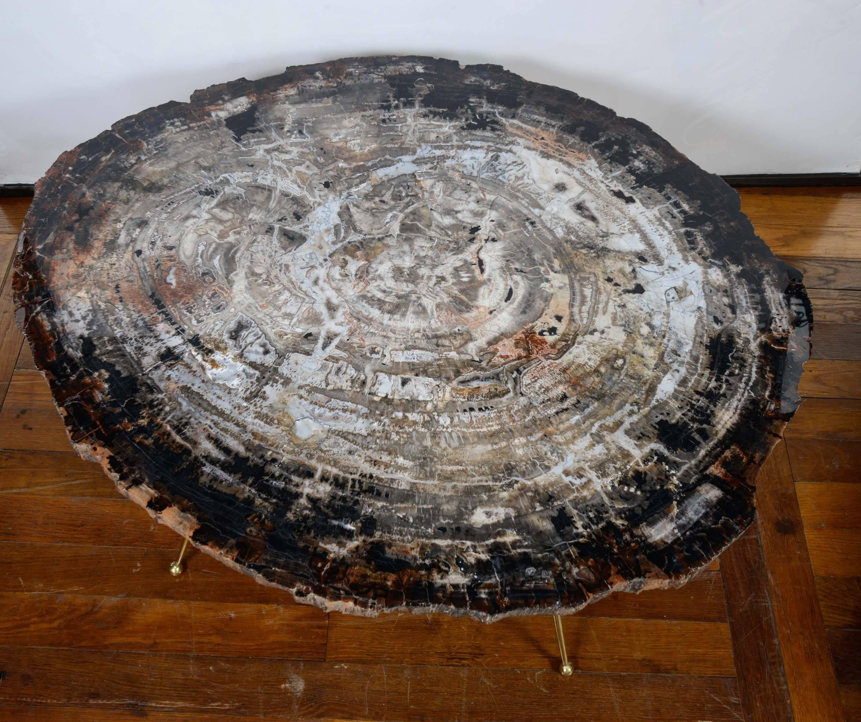 Free Shape Petrified Wood Coffee Table In Excellent Condition In Saint-Ouen (PARIS), FR