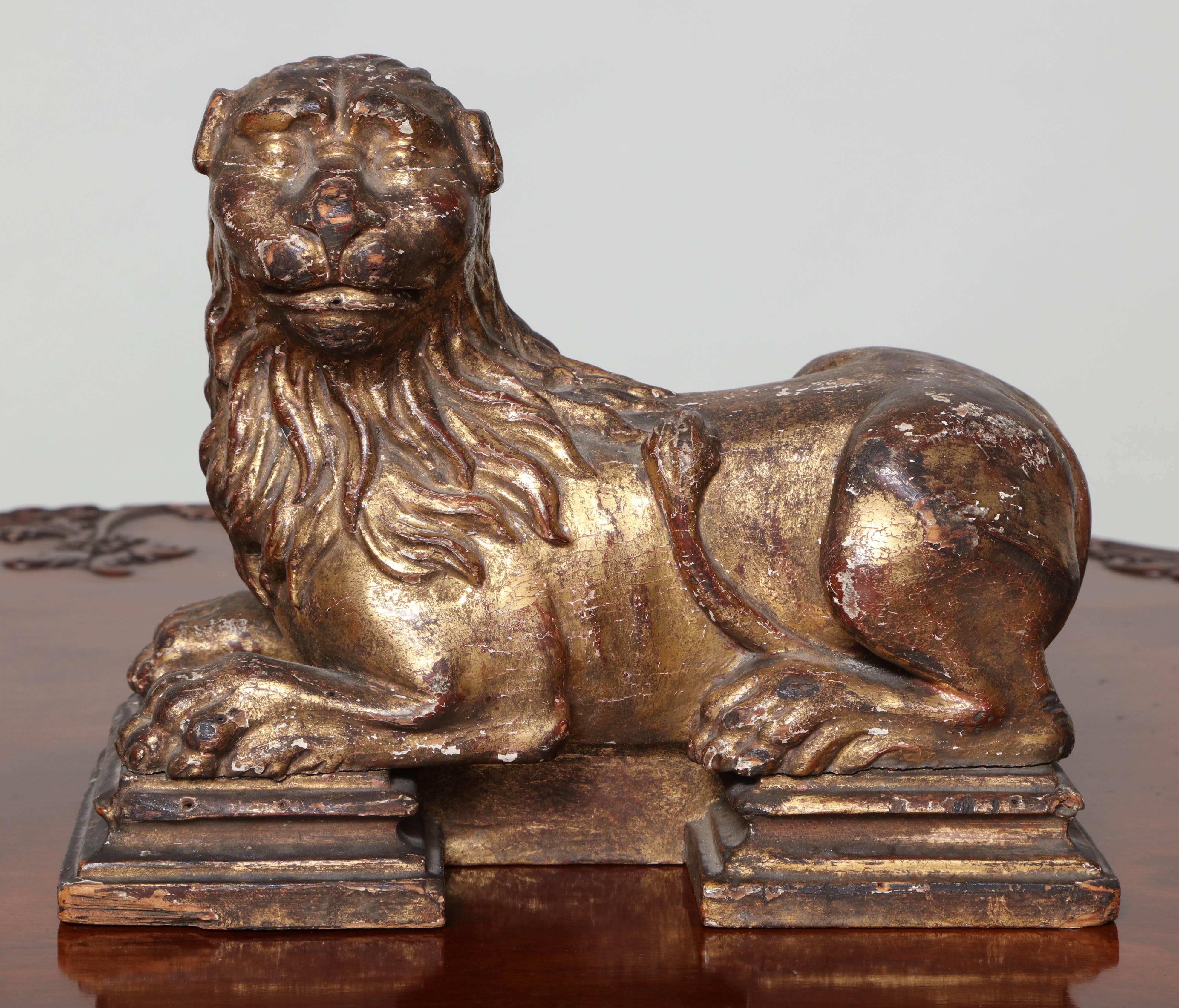 Fine Italian 17th century carved and giltwood recumbent lion on a stepped plinth vase, the whole with beautiful wear and patination. Very well carved with an expressive face.