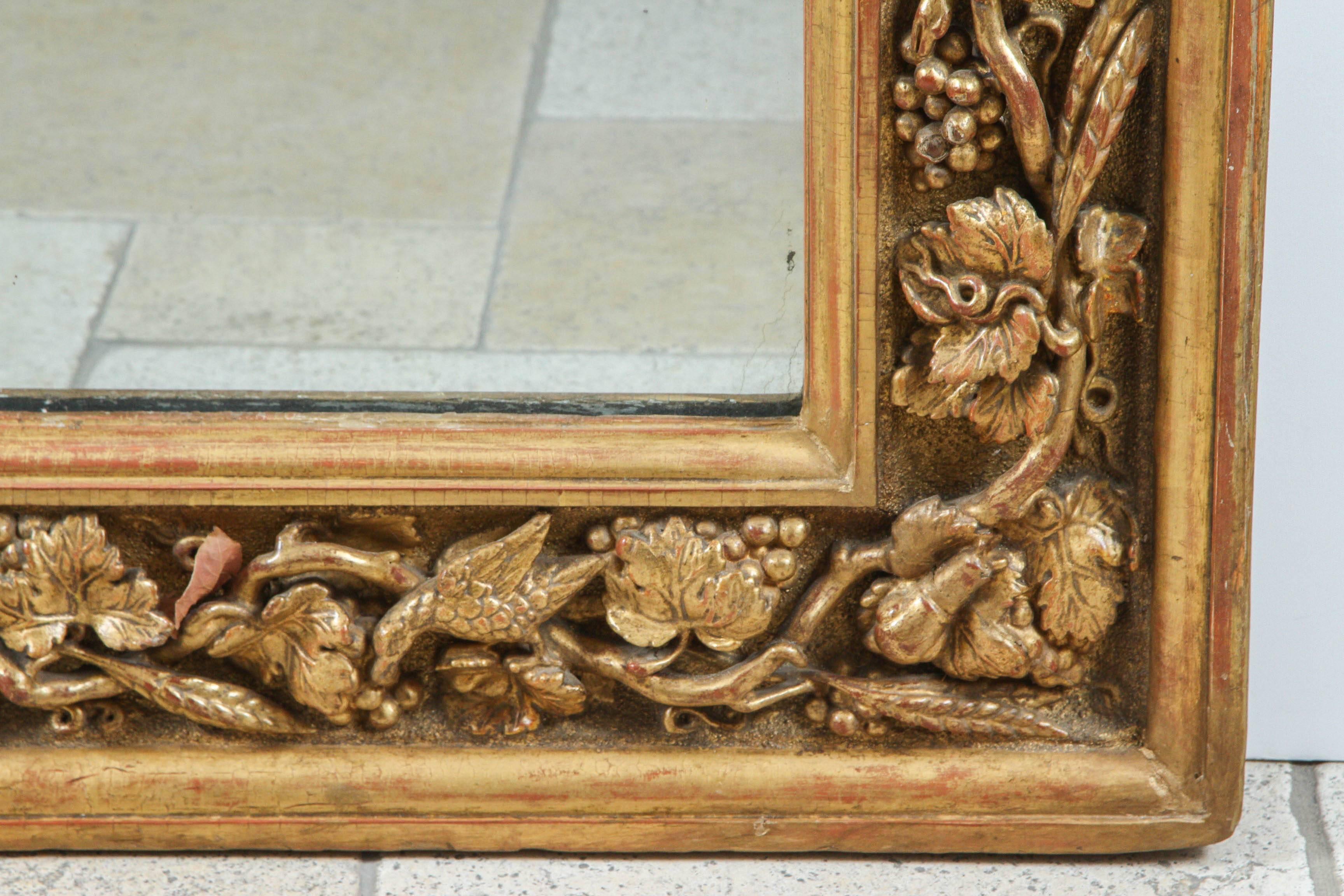 18th century English carved giltwood mirror with tree of life motif featuring snakes, snails and birds. The mirror interior measurements are: 42 inches wide x 61 inches high. There is a makers mark incised in the giltwood.