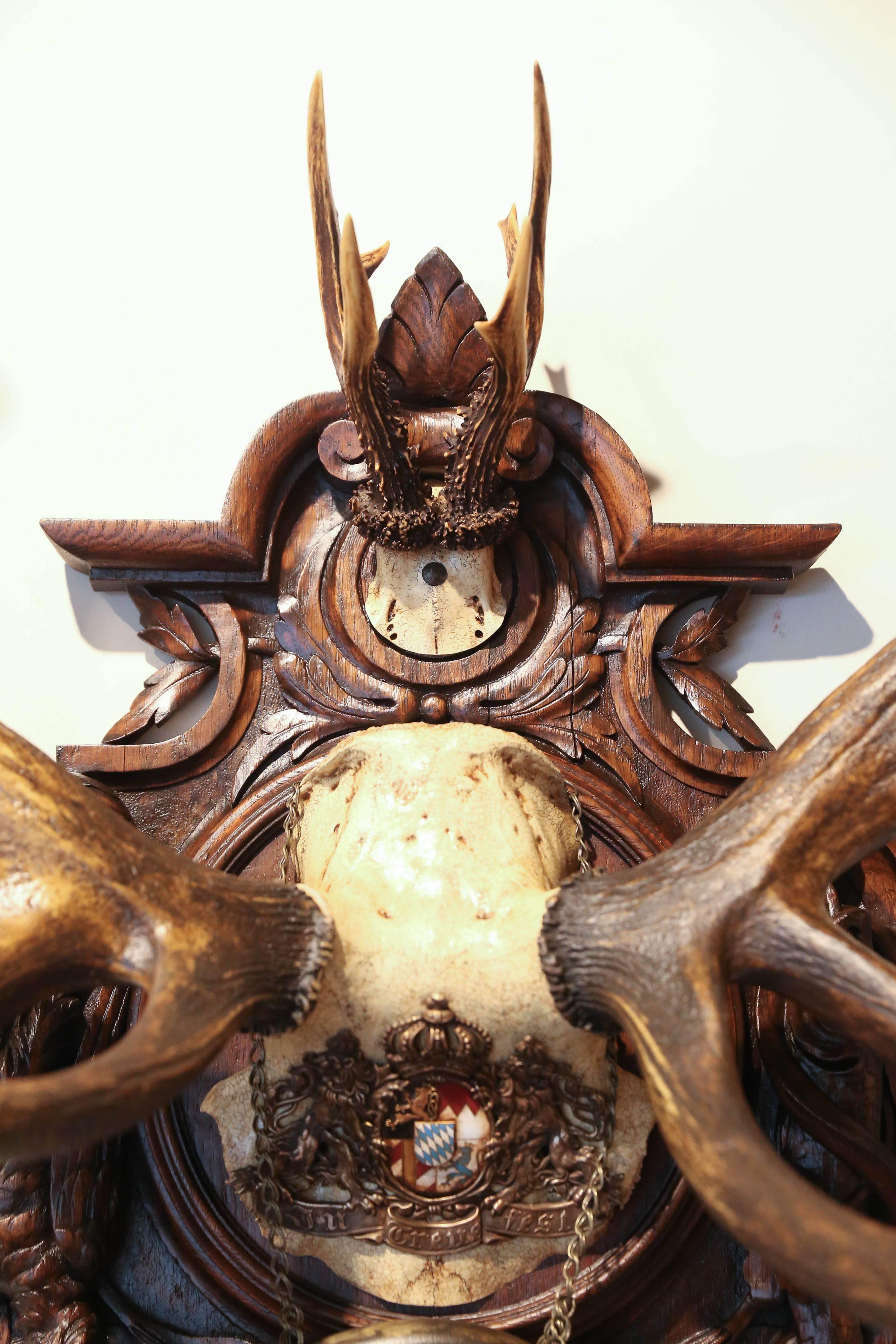 Austrian 19th Century Habsburg Stag and Roe Deer Trophy on Original Black Forest Plaque