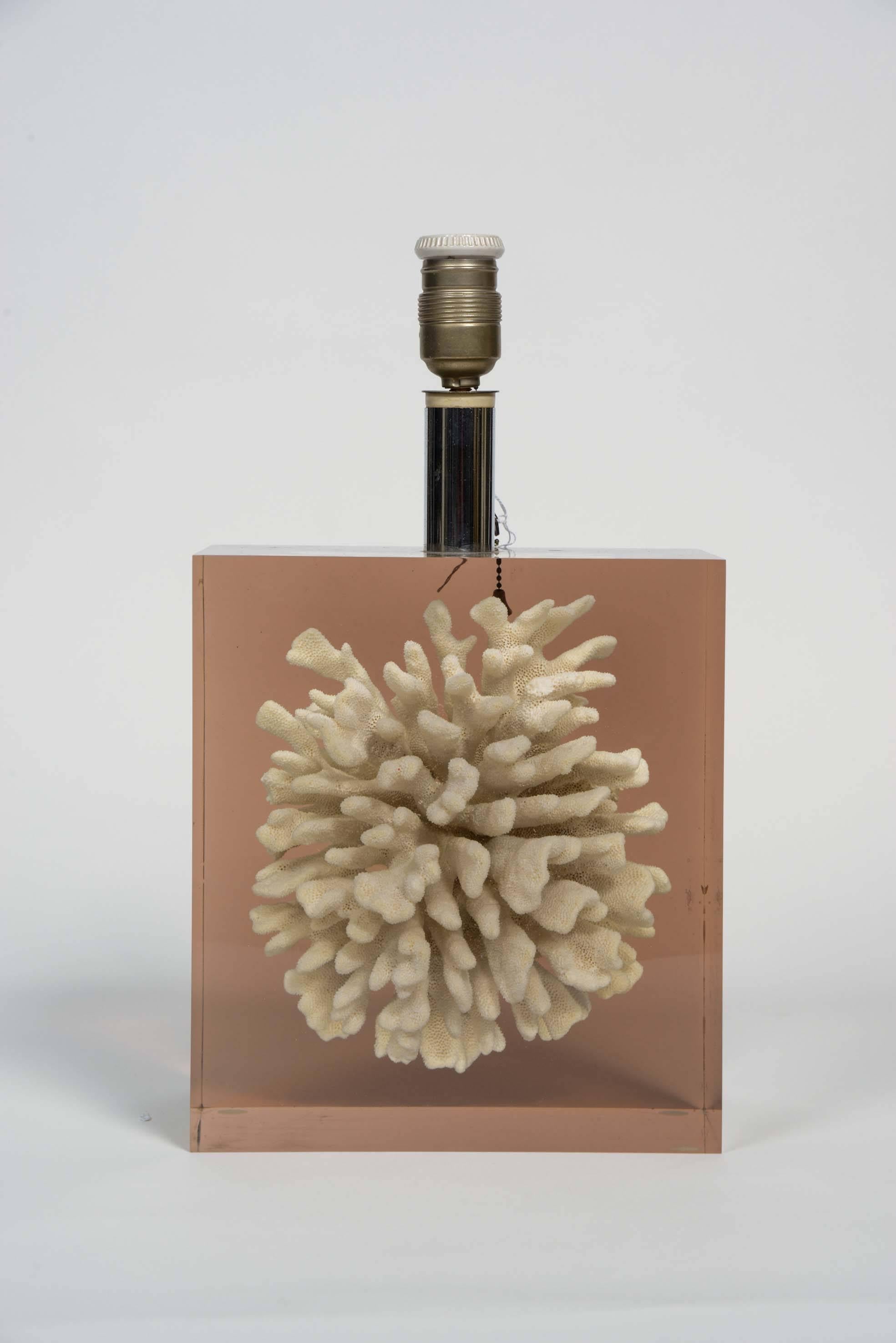 Very nice lamp made by Pierre Giraudon in the 1960s.

Big white coral set in a cube of clear resin with a thin layer of light brown resin on the back to add texture and depth to the coral.