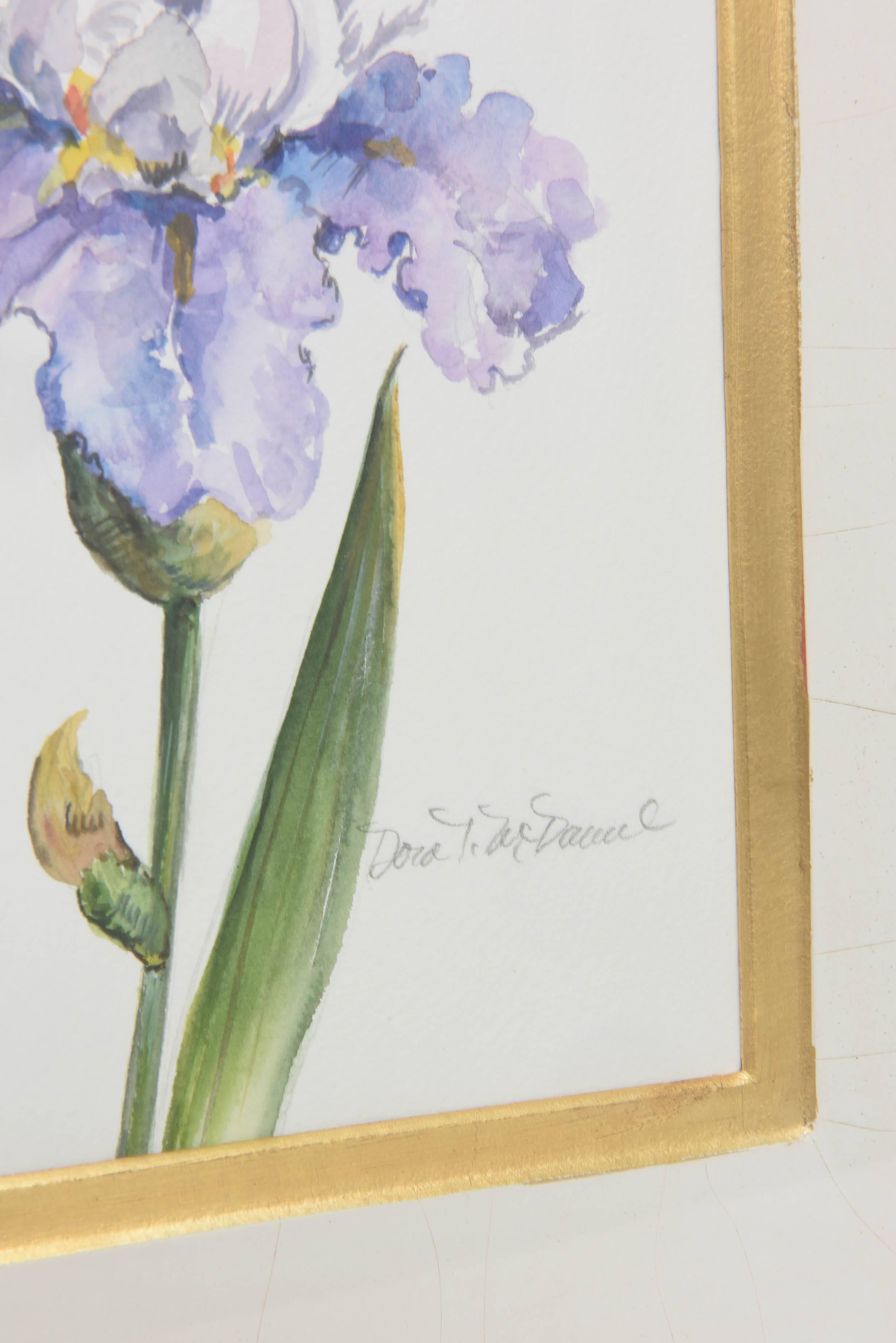 American Iris Watercolor by Dorothy McDowell, Signed, Gilt Custom Mirror Frame