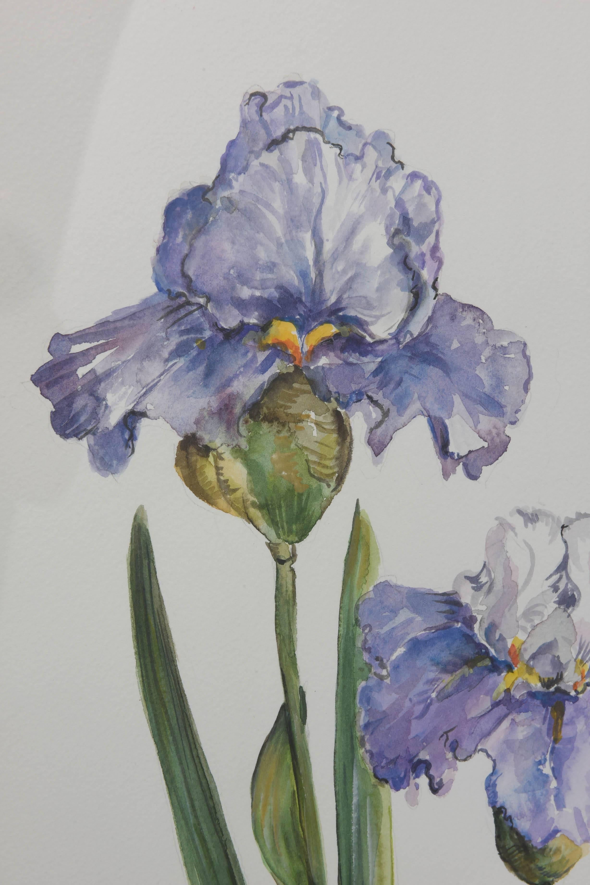 Gold Iris Watercolor by Dorothy McDowell, Signed, Gilt Custom Mirror Frame