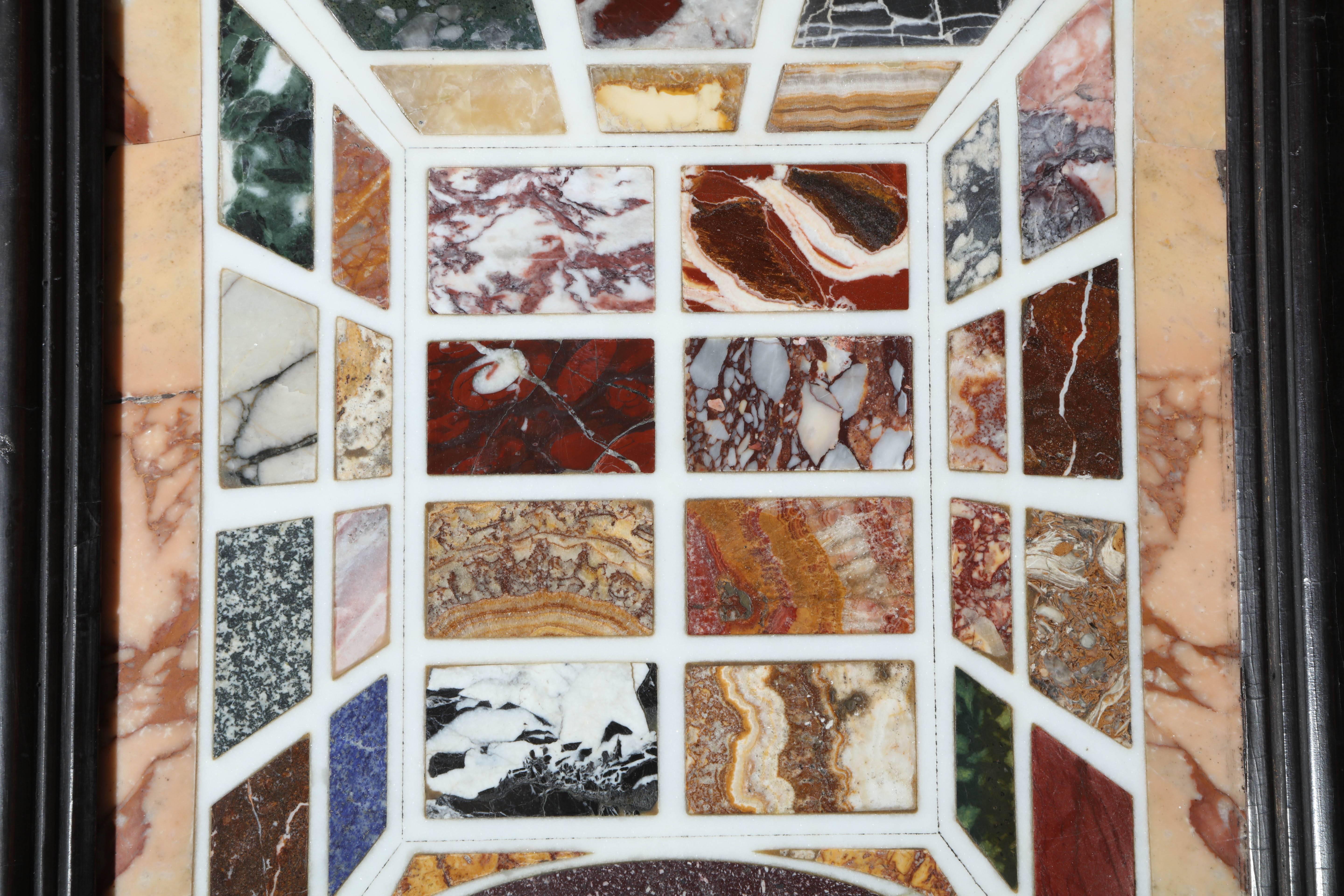 Italian Sample of the 19th Century Marbles of Rome For Sale