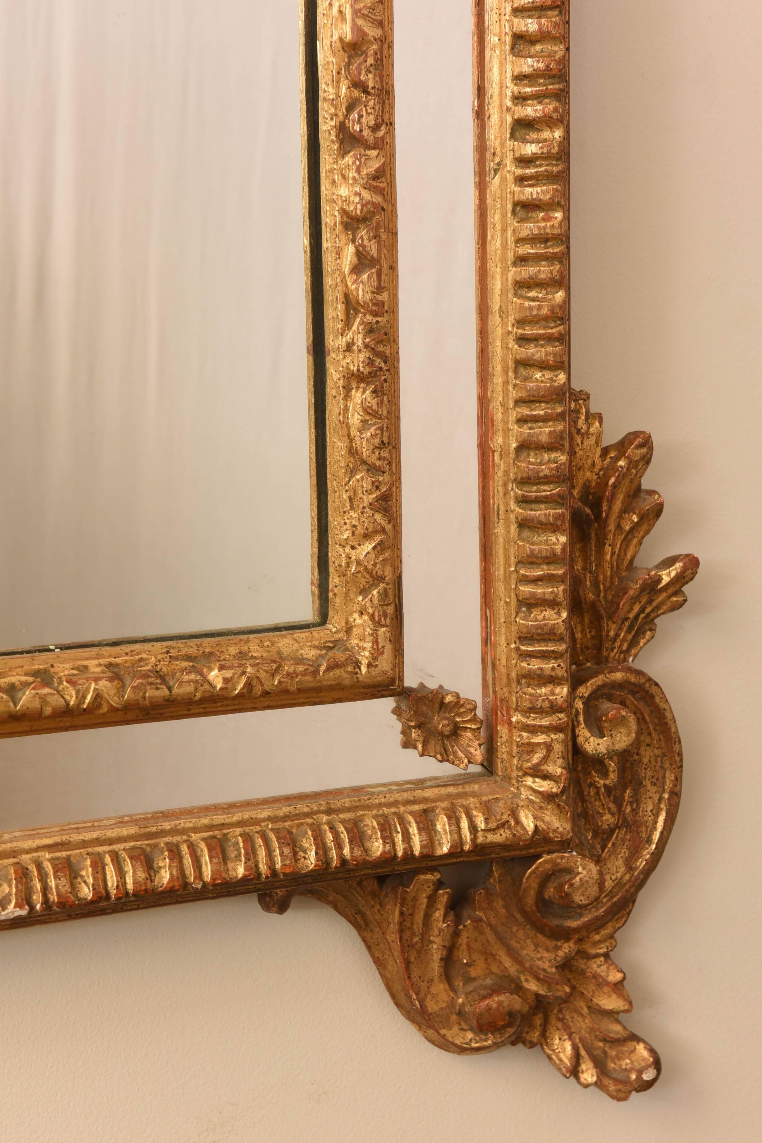 Carved Italian Mirror in Foliate Giltwood Frame, Early 20th Century