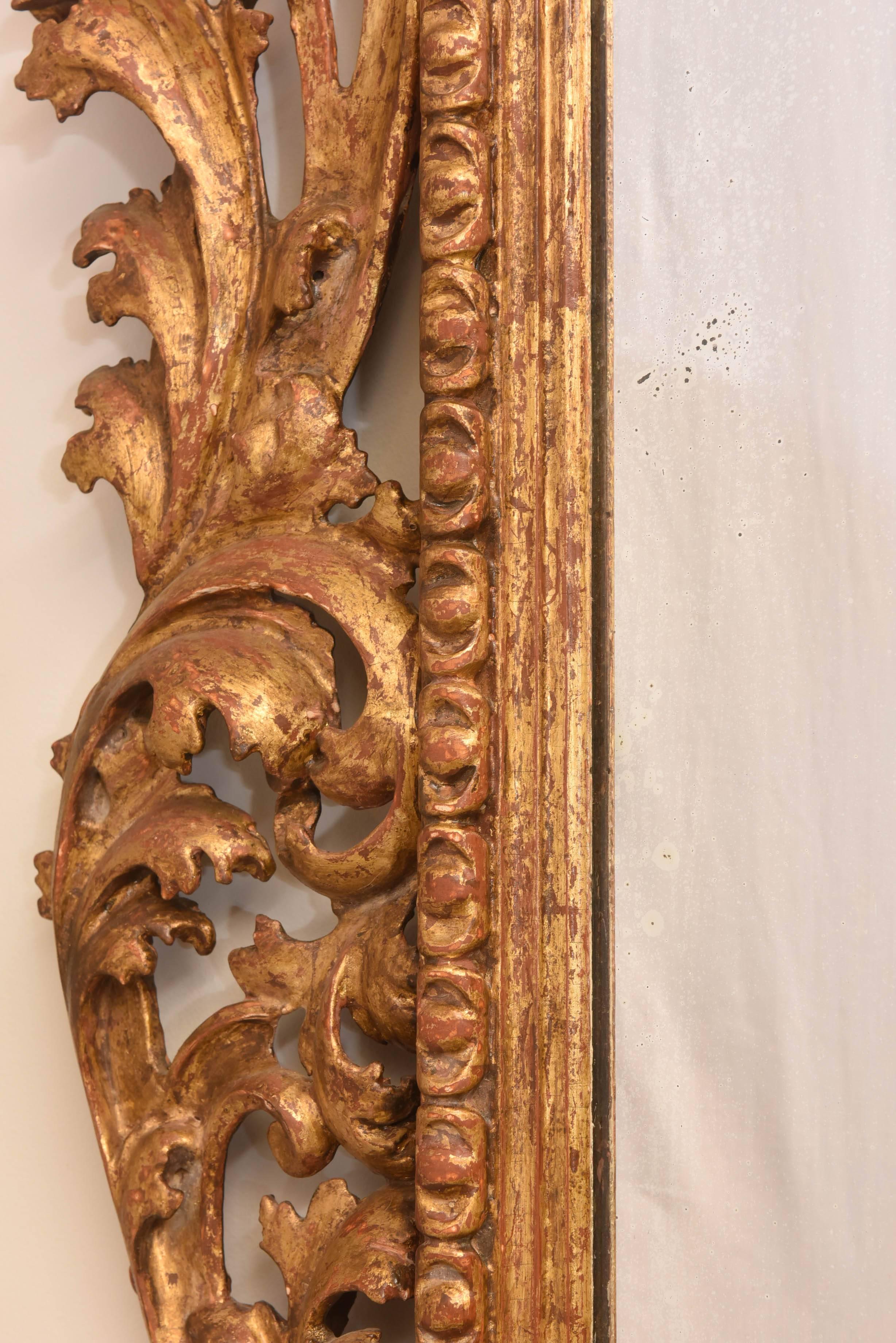 Large, Foliate Carved, 19th Century Italian Giltwood Mirror 2
