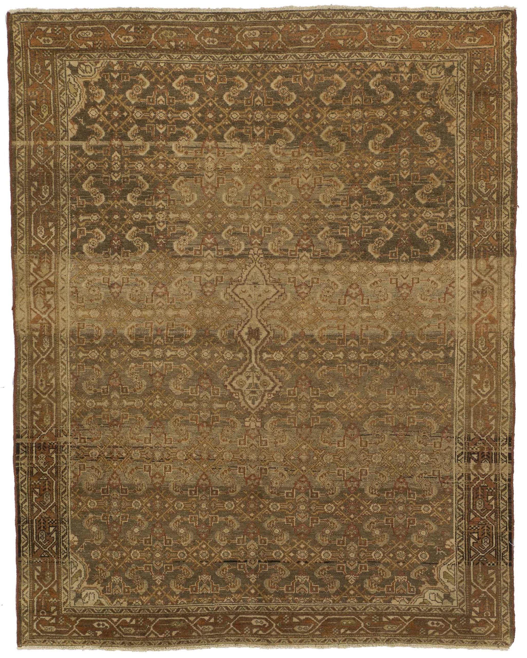 Persischer Malayer – 51902