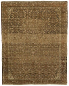 Persischer Malayer – 51902