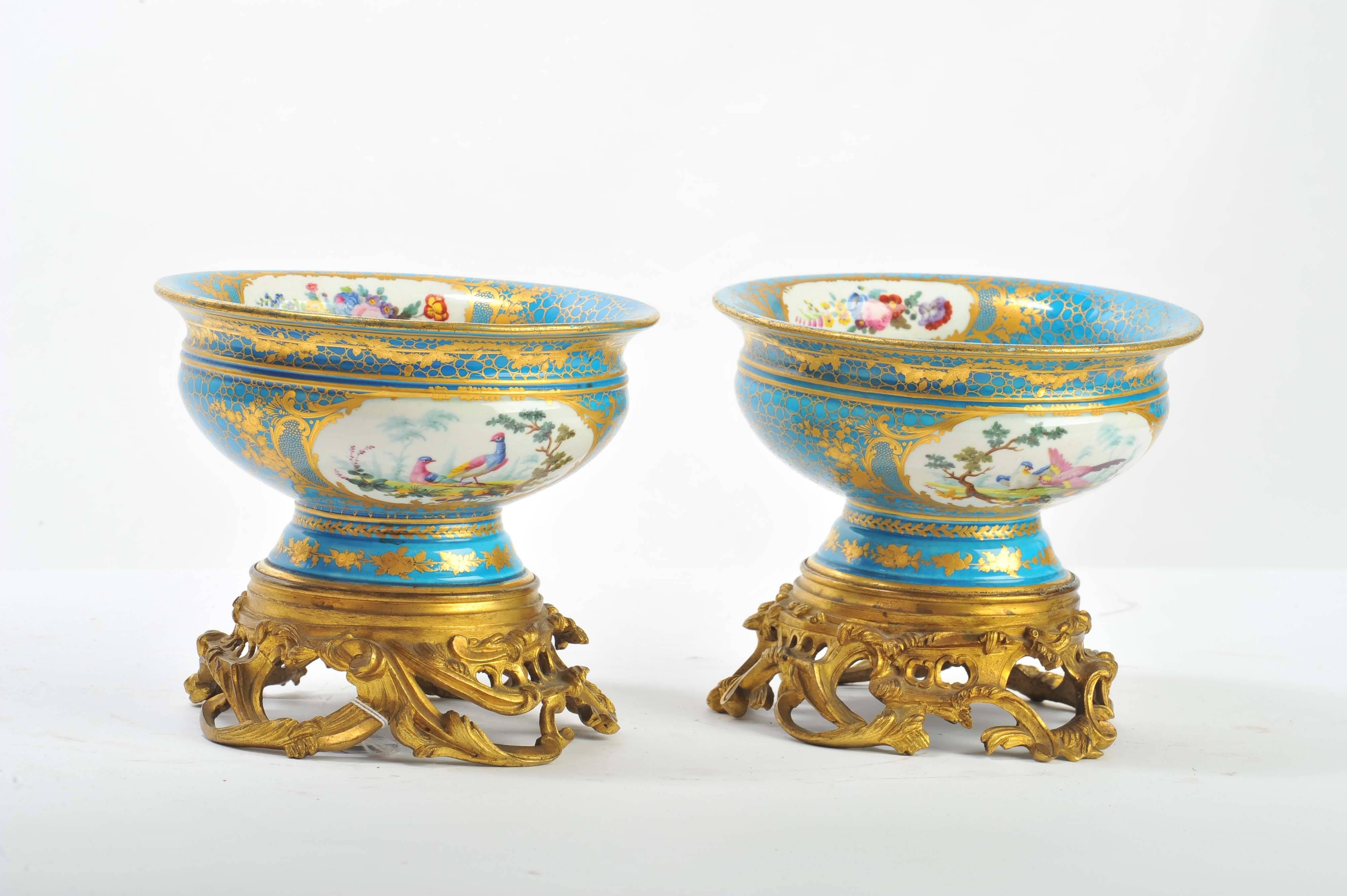 A good quality pair of 19th century gilded ormolu, sevres style porcelain jardinieres. Having panels depicting birds and flowers set in a gilded and turquoise background and raised on wonderful gilded ormolu Rococo style bases.