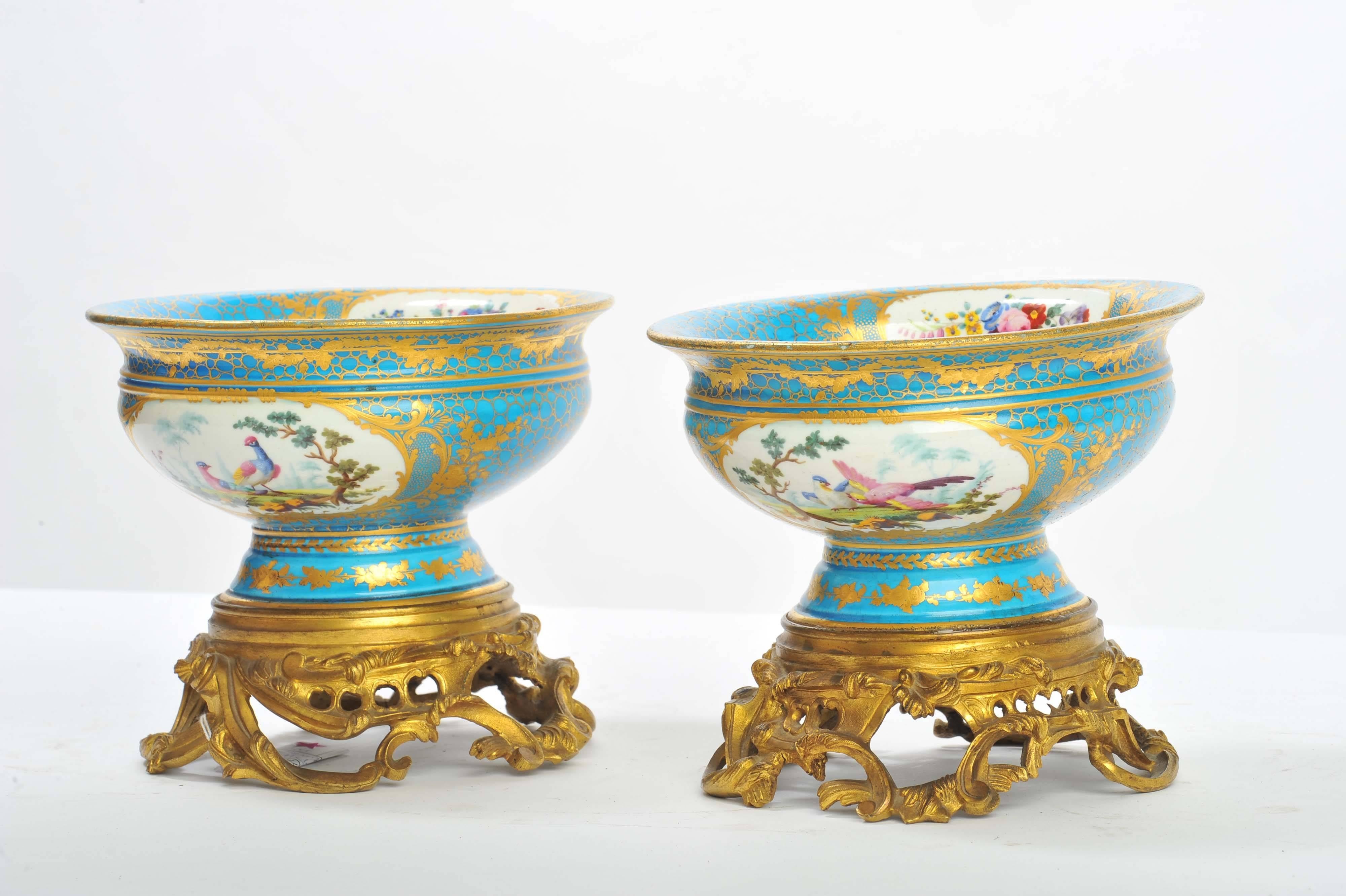 French Pair of 19th Century Sevres Jardineres