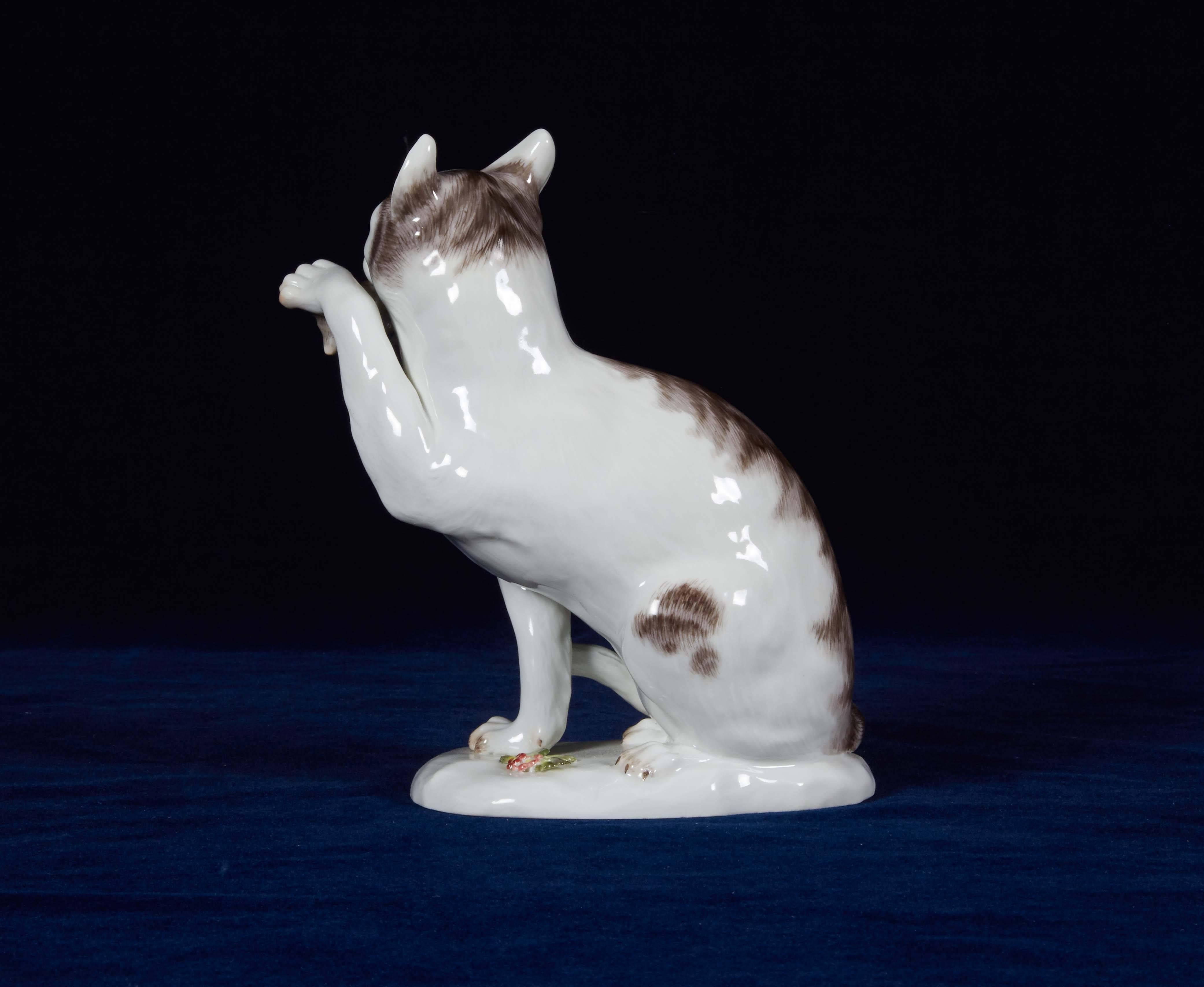 Rococo Meissen Porcelain Group of a Seated Cat, after a Fine Catch, Early 1900s