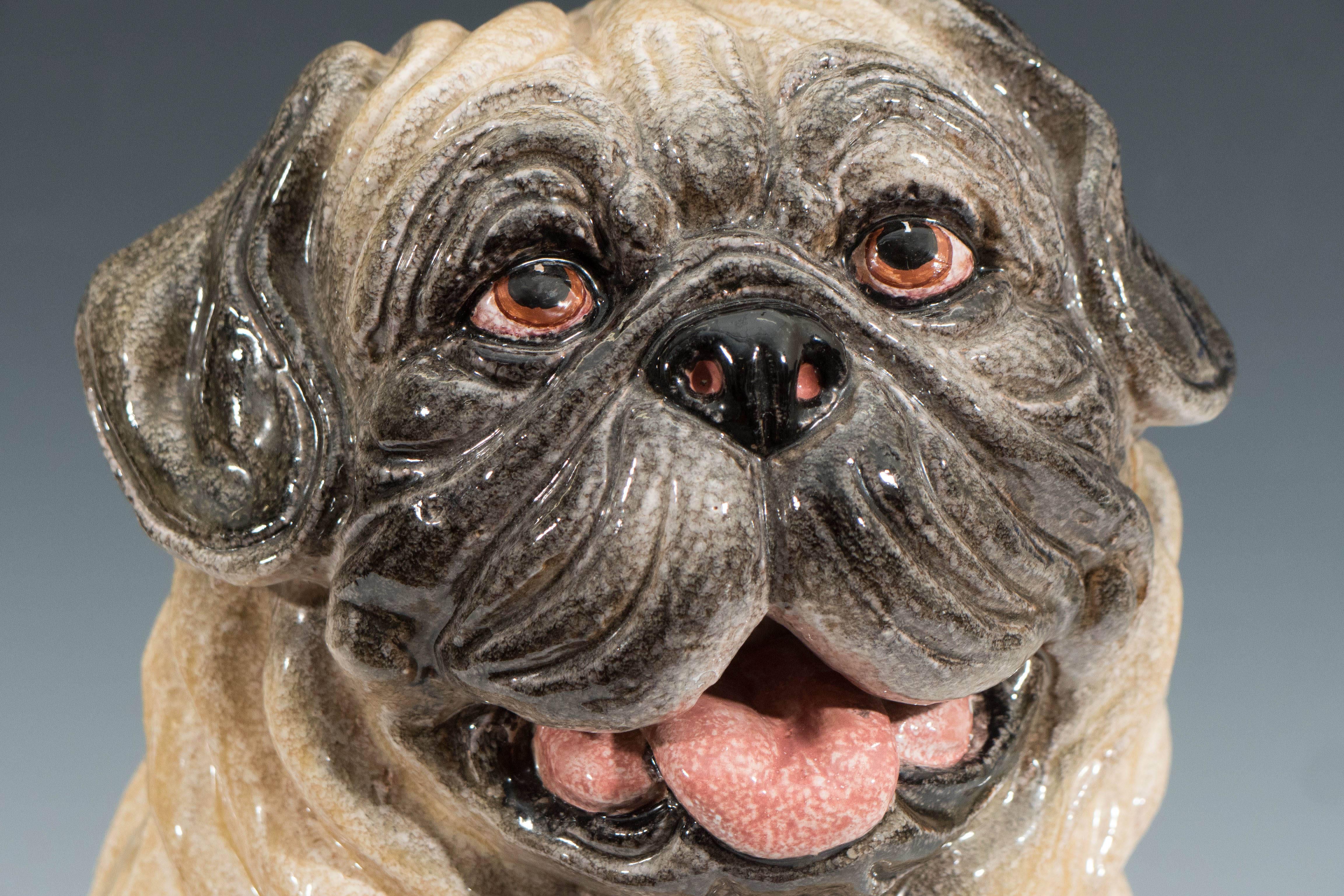 An Italian lifesize sculpture of a pug, produced circa 1960s, in glazed terracotta, painted with intricate mottled details. Markings include [Made in Italy] stamped to the interior. Very good vintage condition, with slight wear and minuscule chips