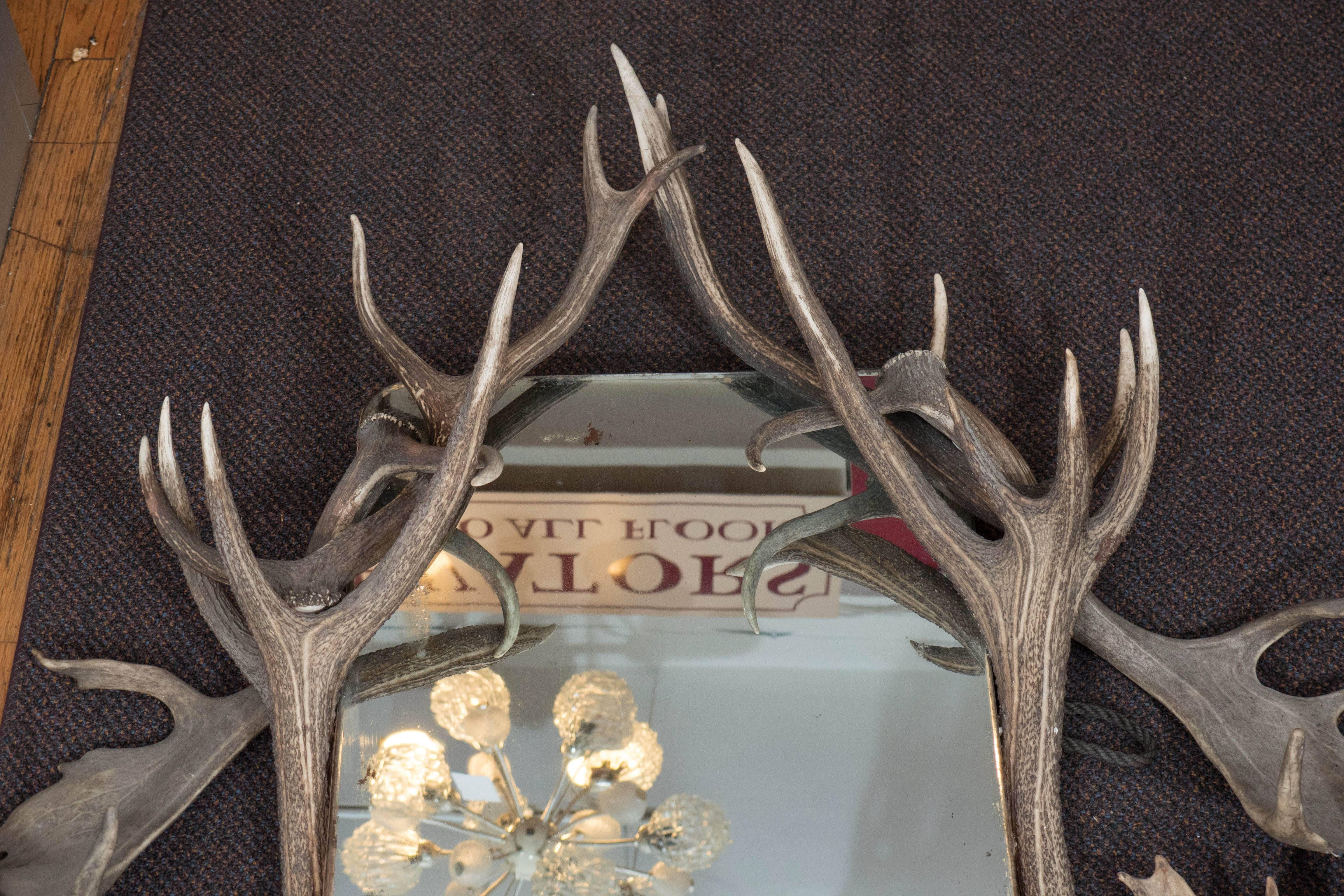 Painted Horn & Antler Trophy Mirror