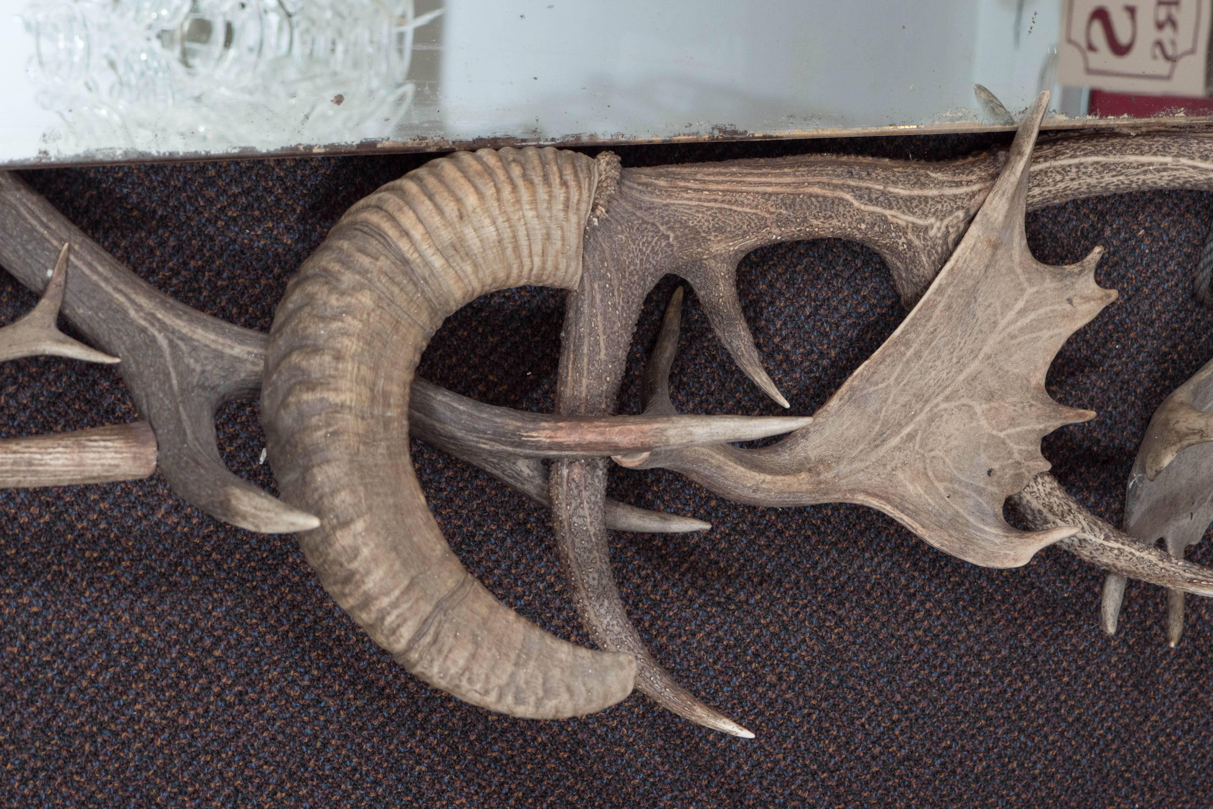 Horn & Antler Trophy Mirror In Good Condition In New York, NY