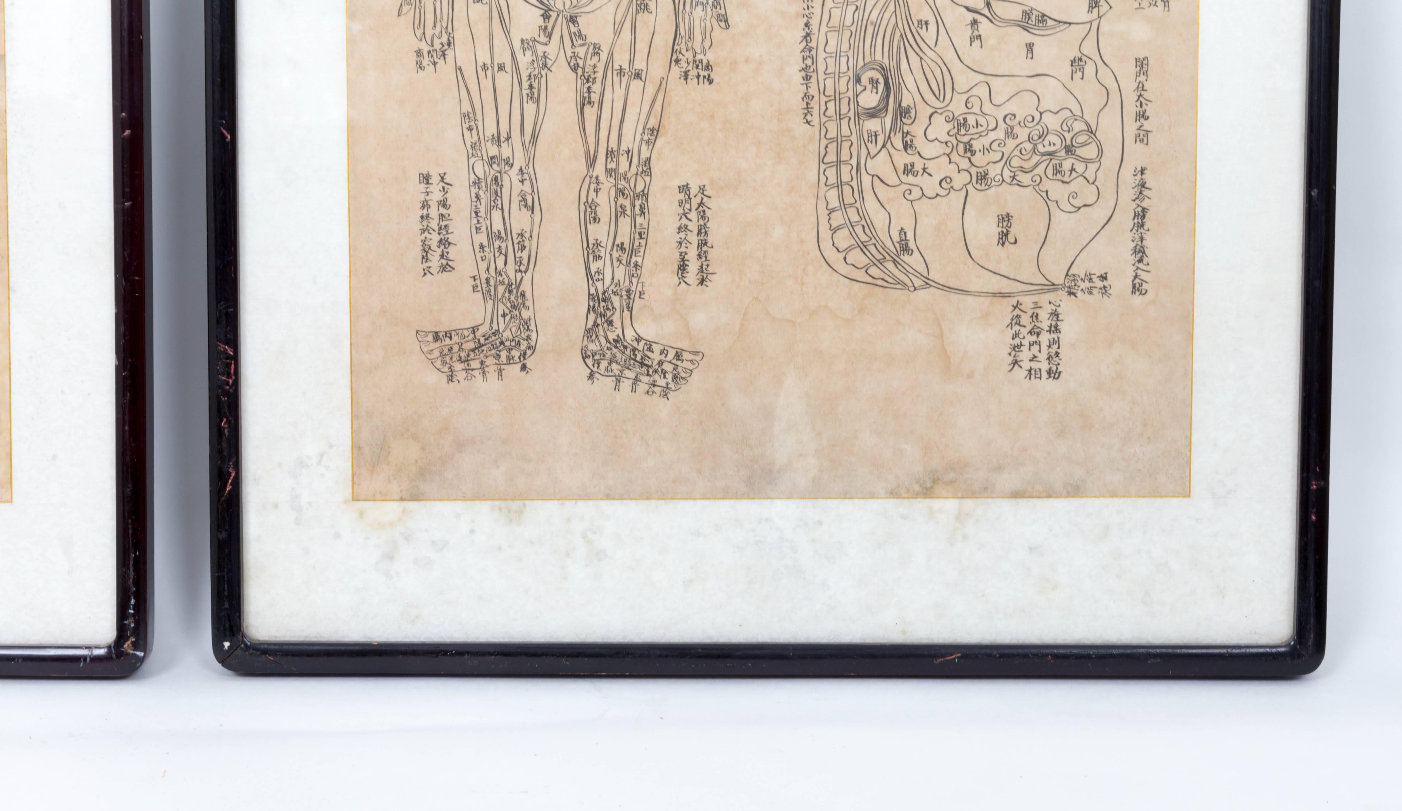 Pair of Asian Acupuncture Prints In Good Condition In Southampton, NY