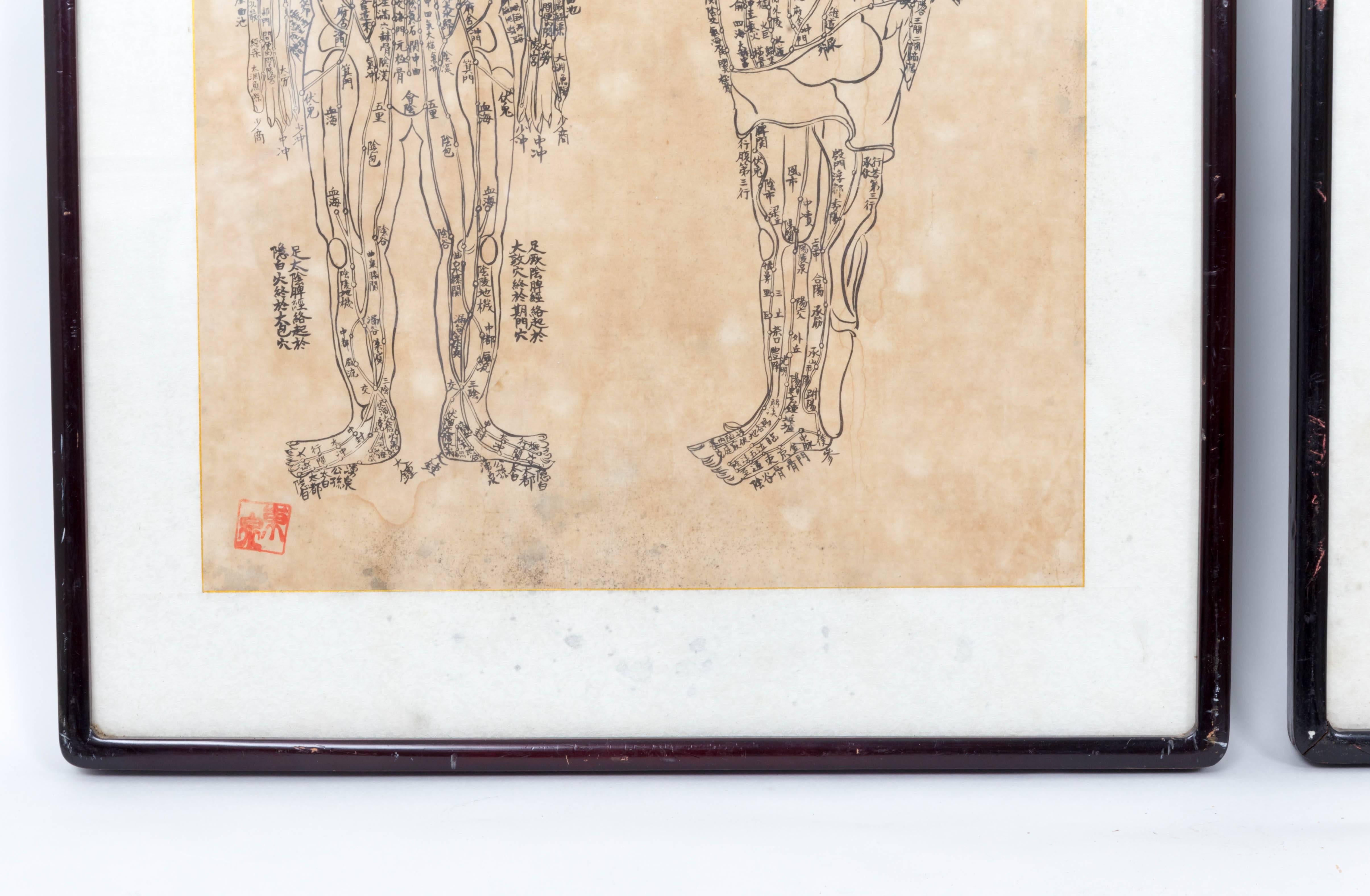 20th Century Pair of Asian Acupuncture Prints