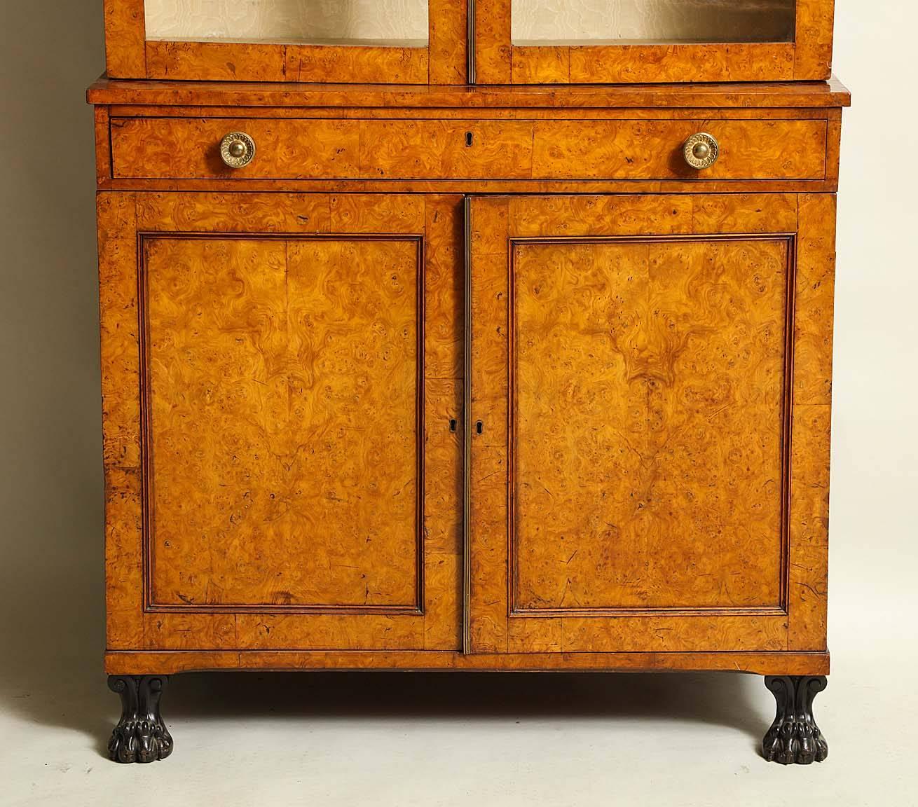 Very fine early 19th century burr oak cabinet, the pediment with three bronze stars over two glazed doors, the lower cabinet with single fitted drawer over two cupboard doors concealing four graduated drawers, standing on ebonized paw feet, the