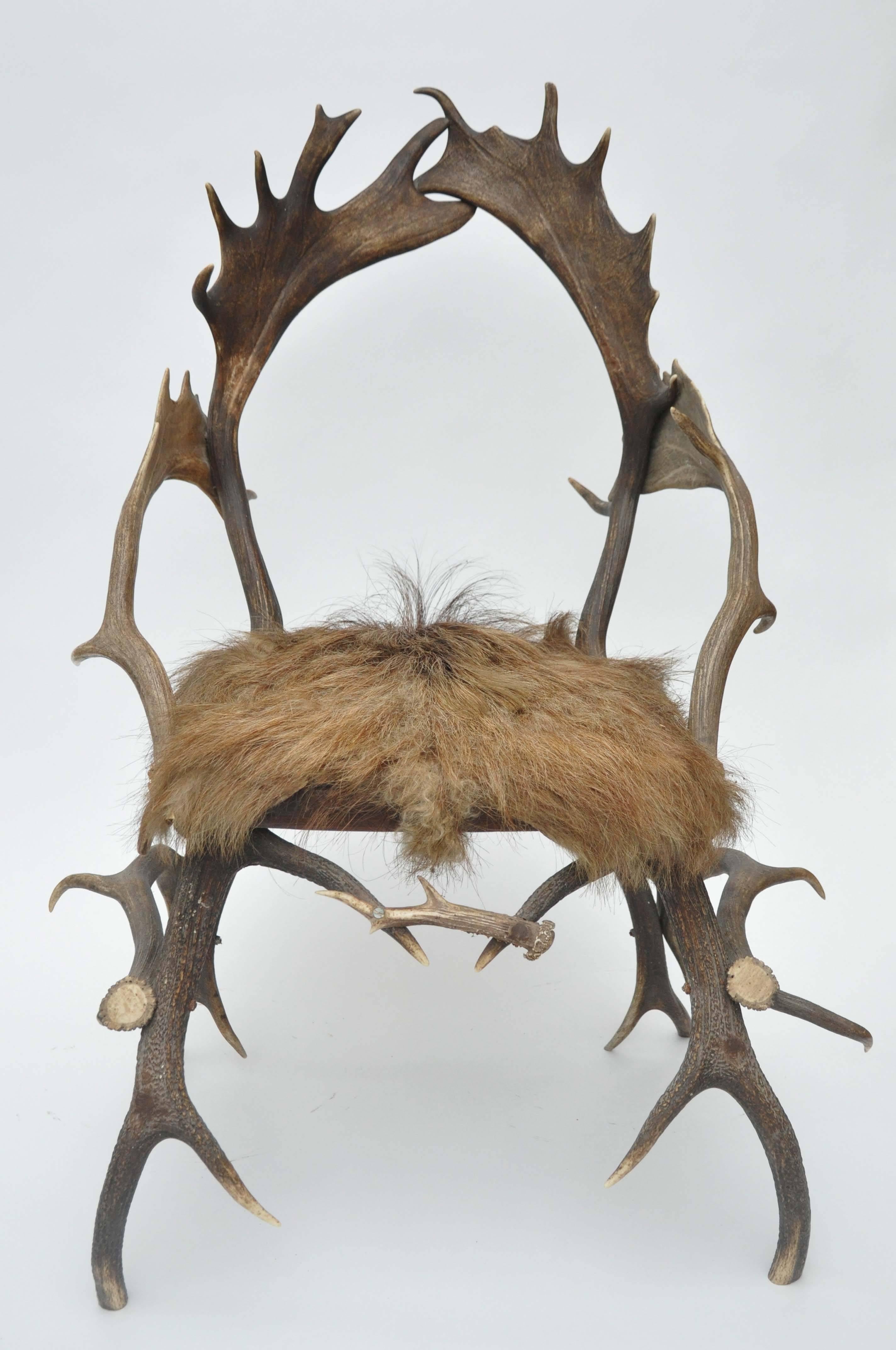 Early 19th century elk antler chair from Germany with natural boar hair seat. Found outside of Munich. Made in the late 1800s the work is in keeping with the standards of the original Bavarian makers of fine antler and horn furniture. 
This is not a
