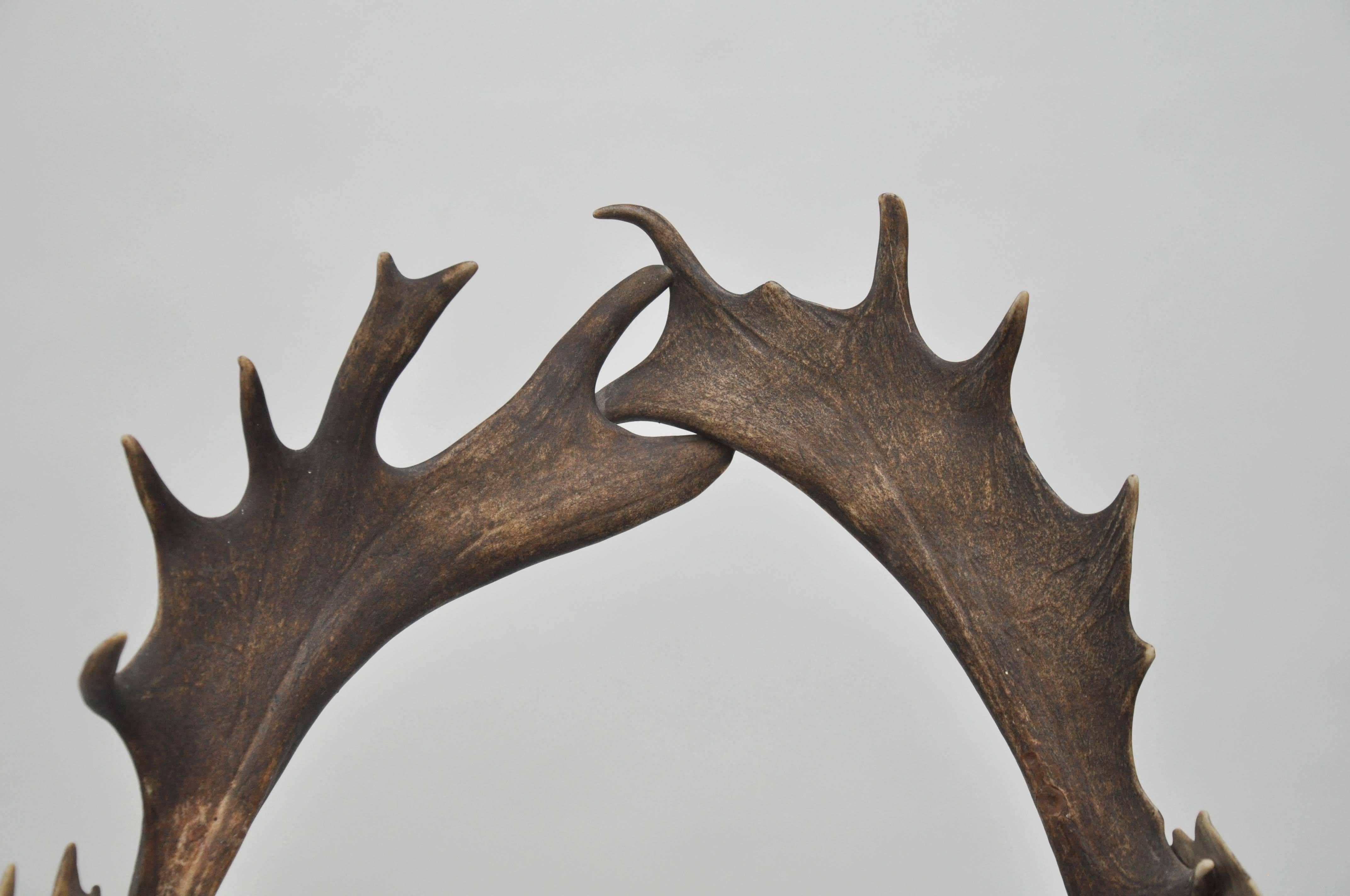 antler chairs