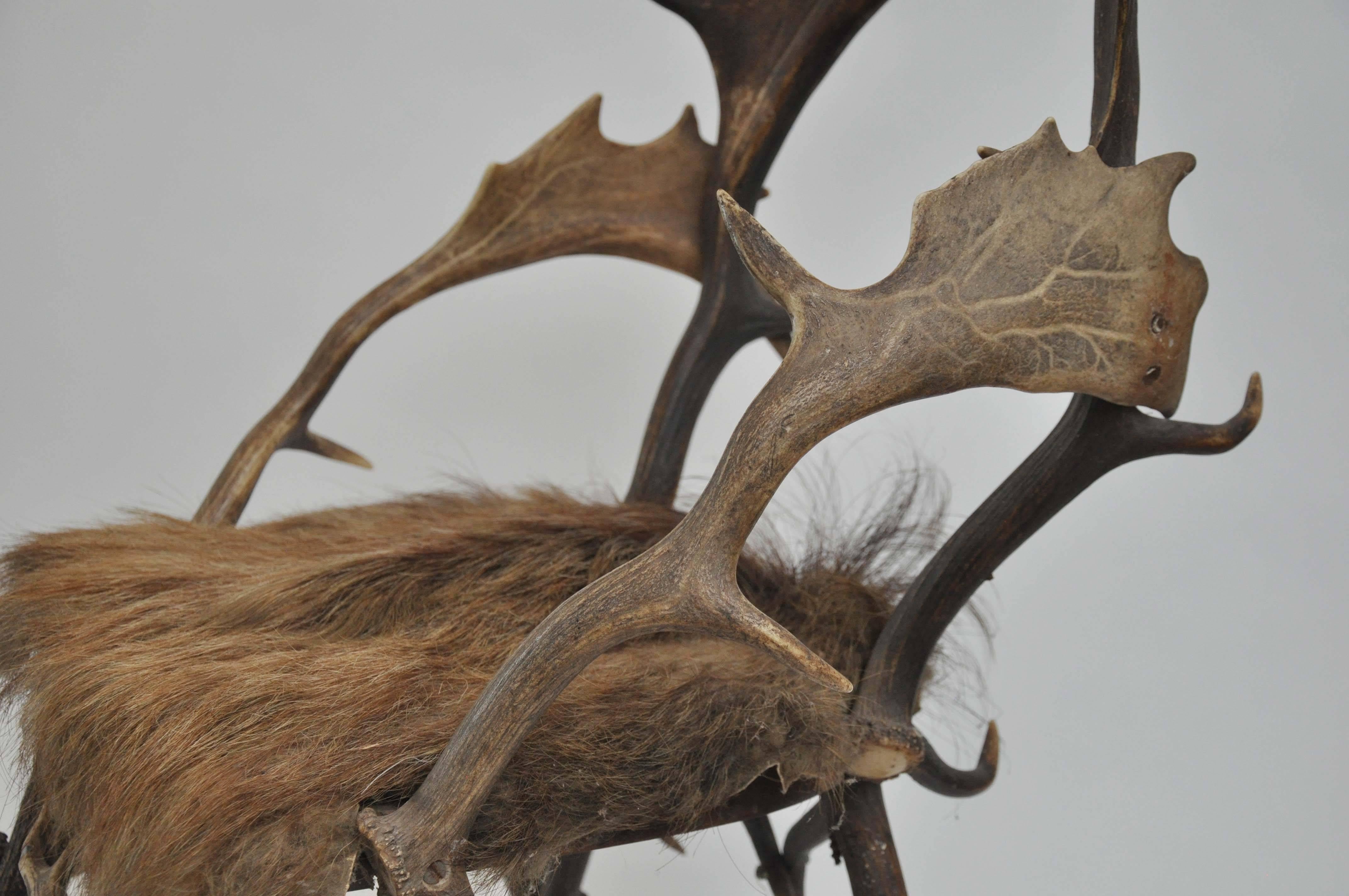 Early 19th Century Elk Antler Chair From Germany with Natural Boar Hair Seat In Excellent Condition In Chicago, IL