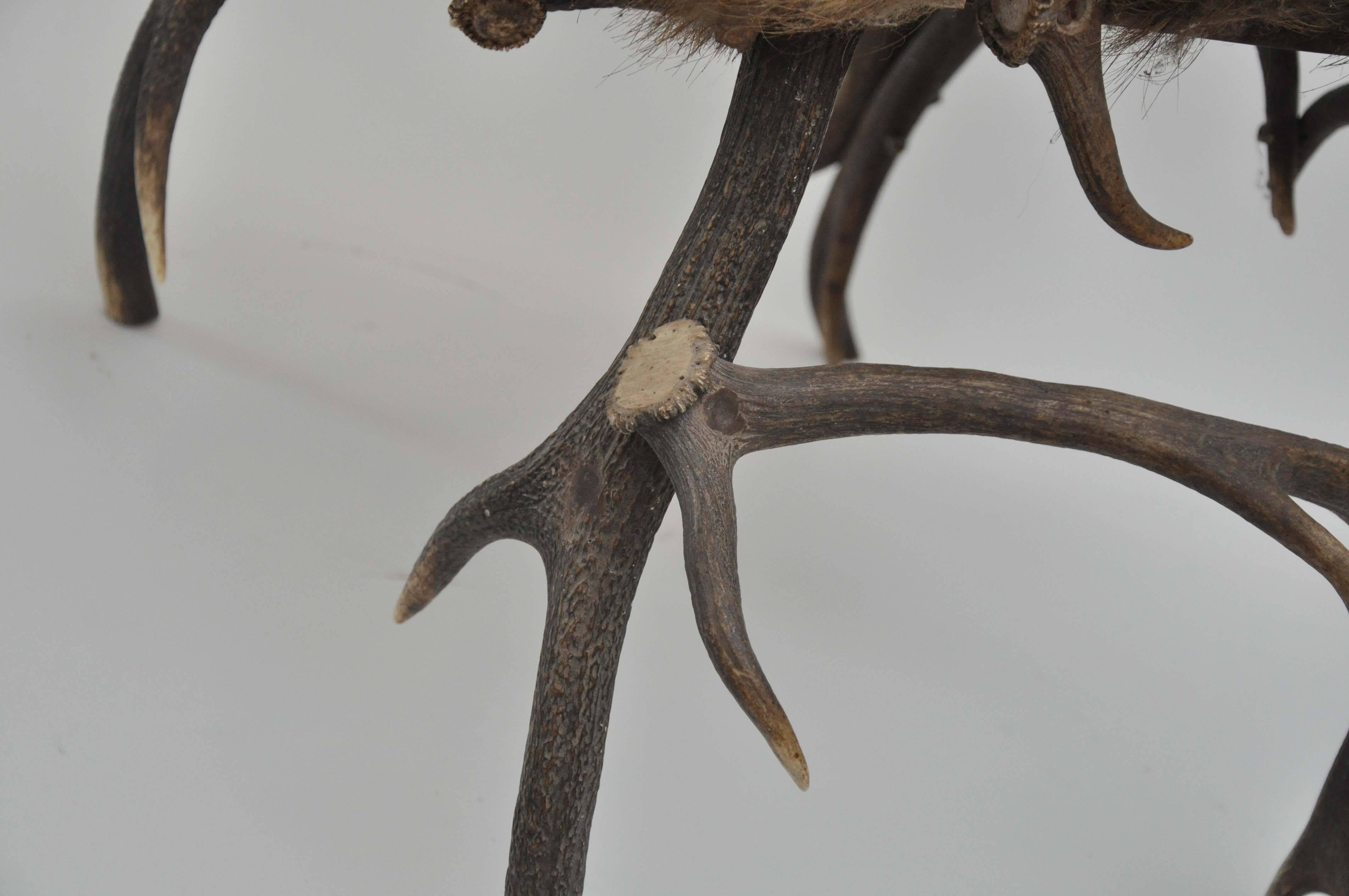 Early 19th Century Elk Antler Chair From Germany with Natural Boar Hair Seat 1