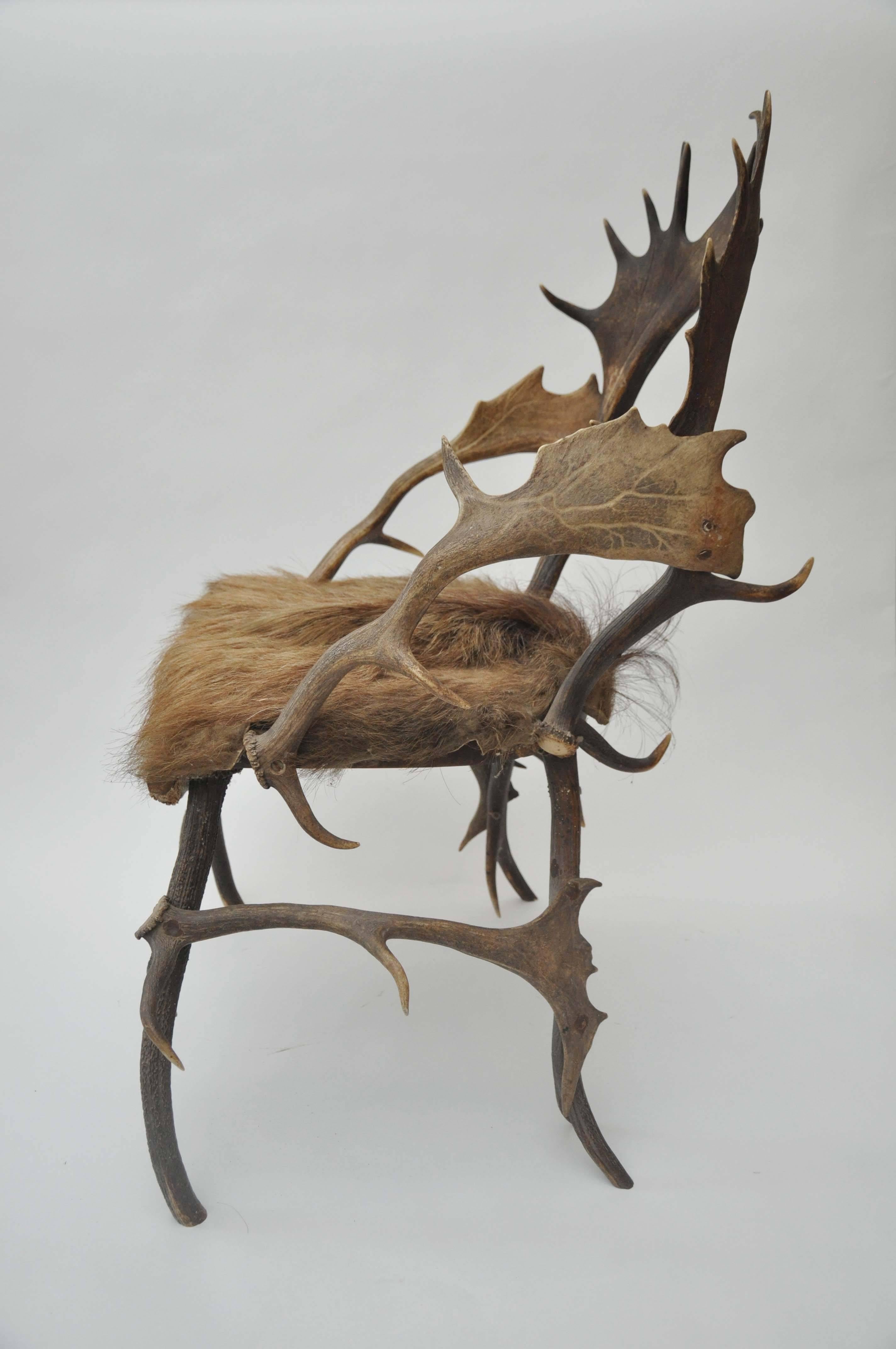 Early 19th Century Elk Antler Chair From Germany with Natural Boar Hair Seat 3