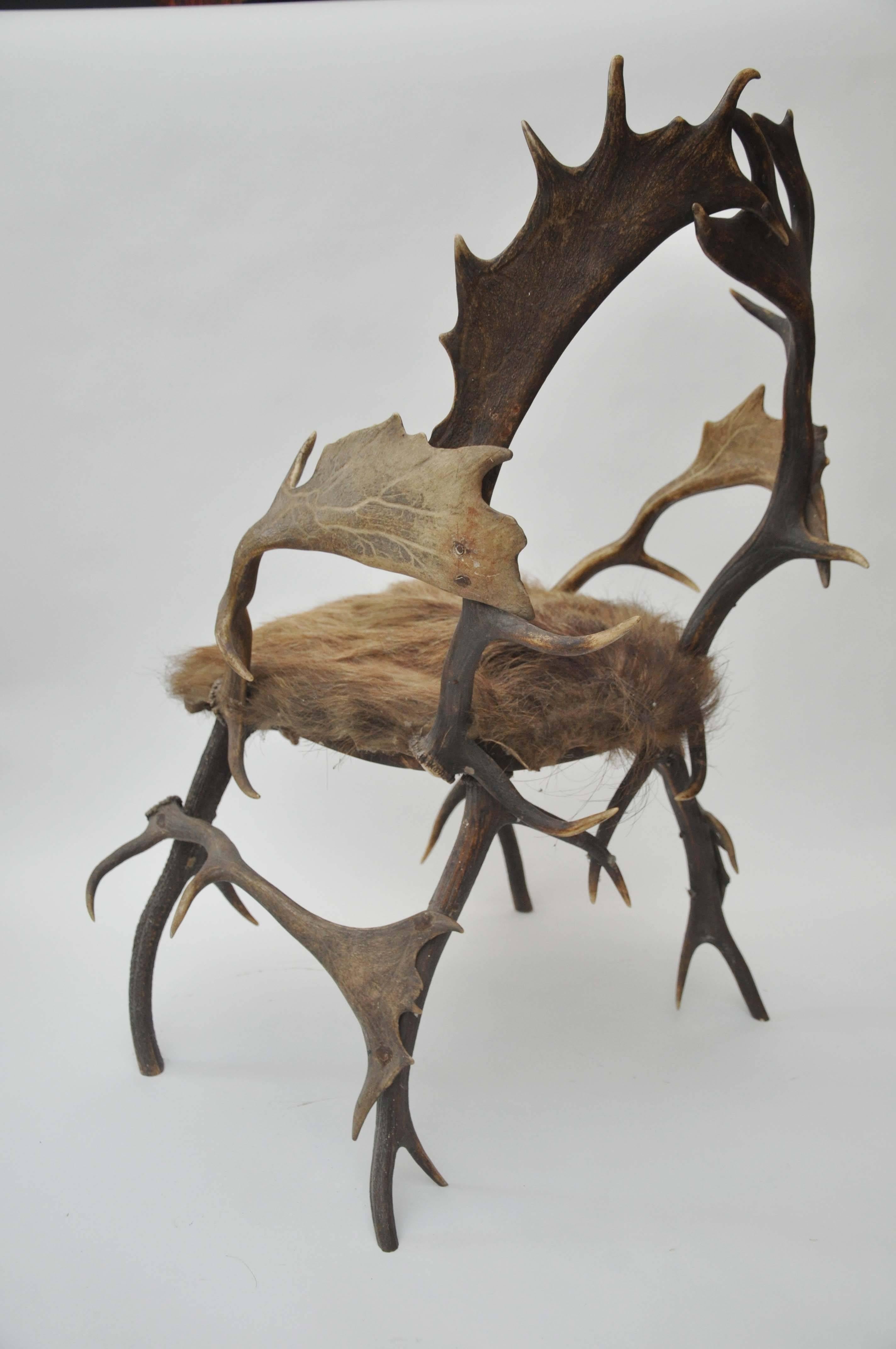 Early 19th Century Elk Antler Chair From Germany with Natural Boar Hair Seat 4