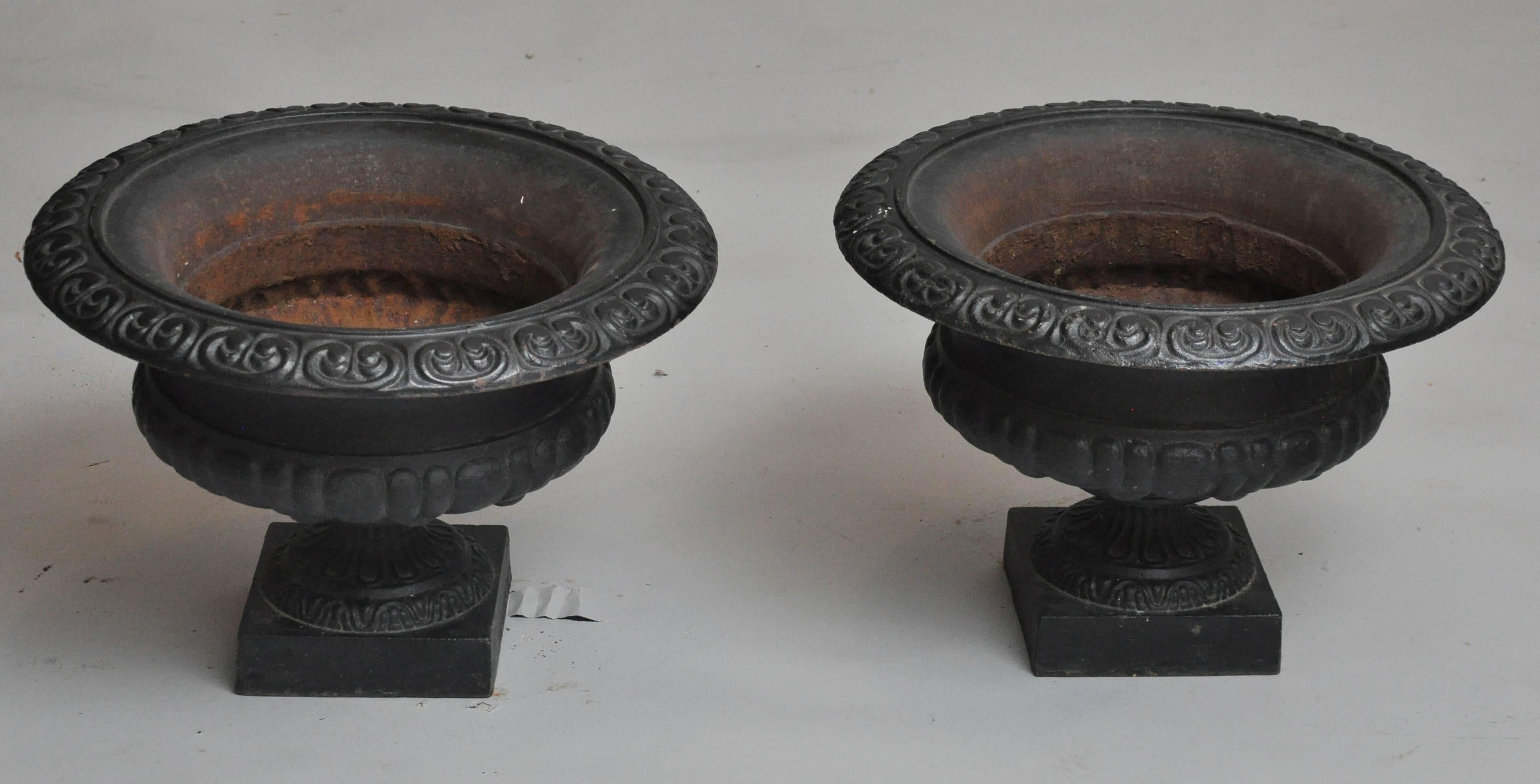 Pair of cast iron urns in the Classic Campagne form with timeworn patina, supported on a square plinth pedestal base.