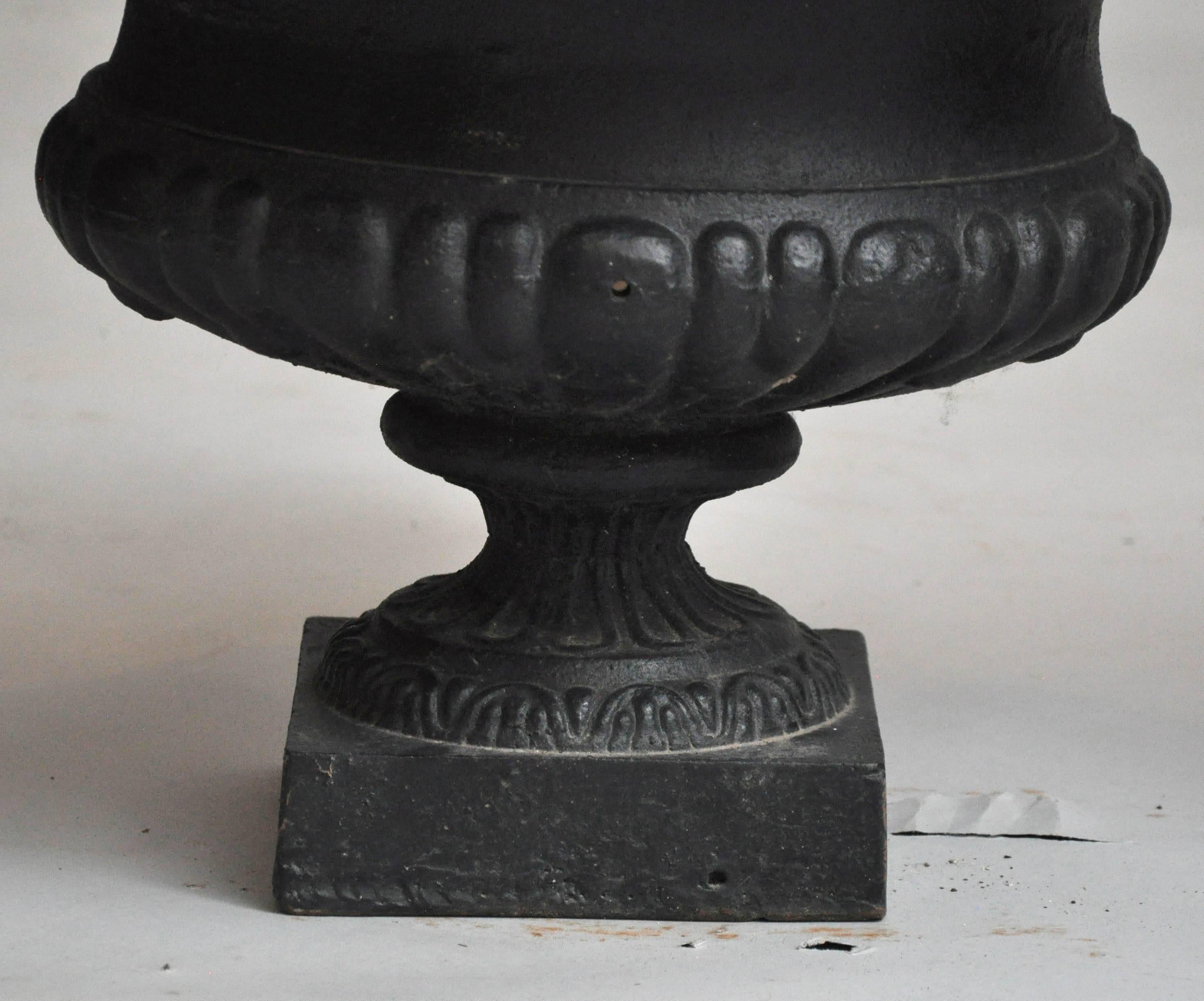 Early 20th Century Pair of French Neoclassical Cast Iron Garden Urns For Sale