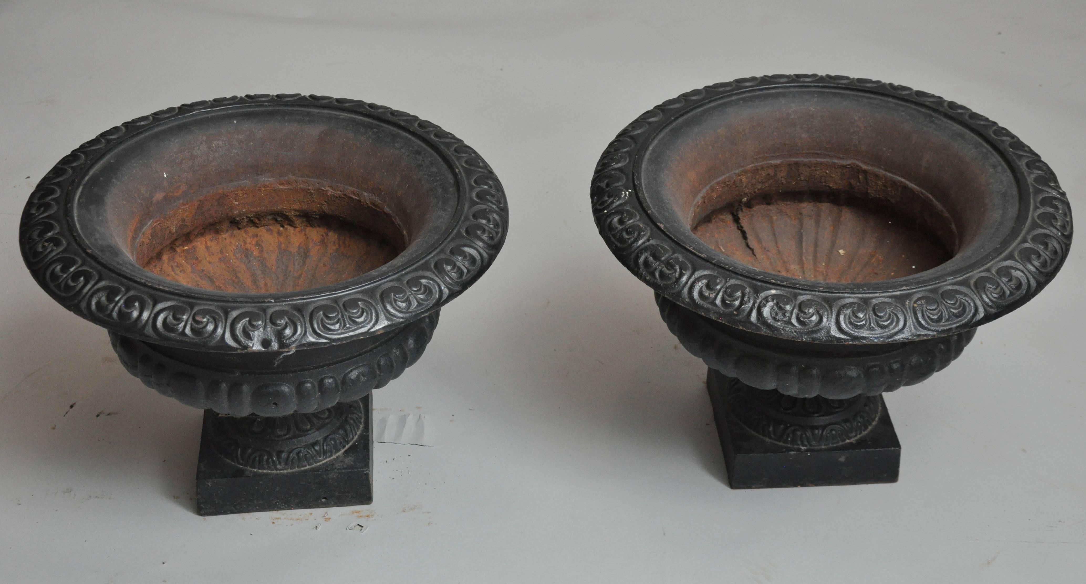 Pair of French Neoclassical Cast Iron Garden Urns For Sale 2