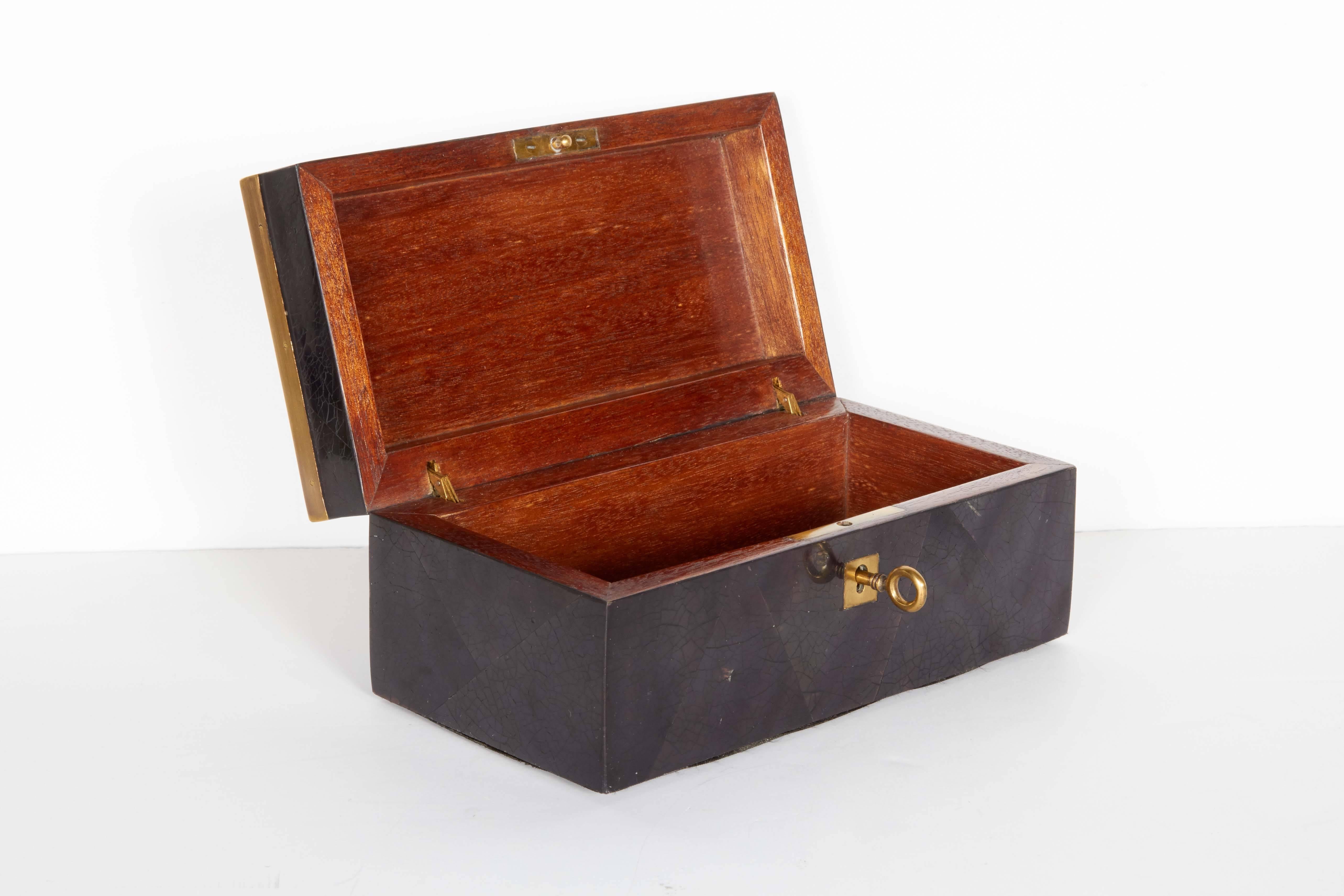 Decorative Pen Shell Box with Exotic Red Feathers In Excellent Condition In Fort Lauderdale, FL