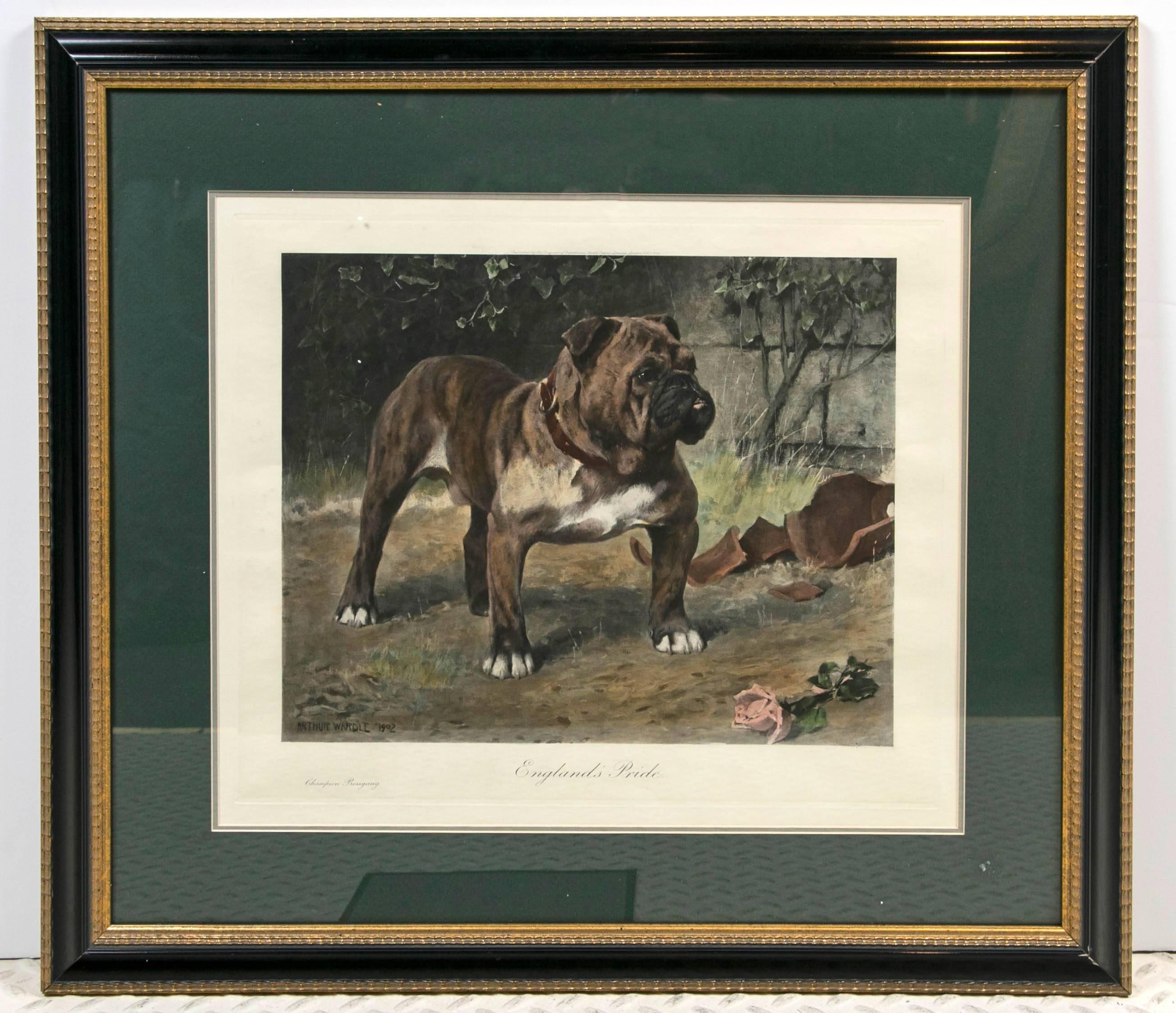 This hand colored restrike etching art print of Arthur Wardle's 