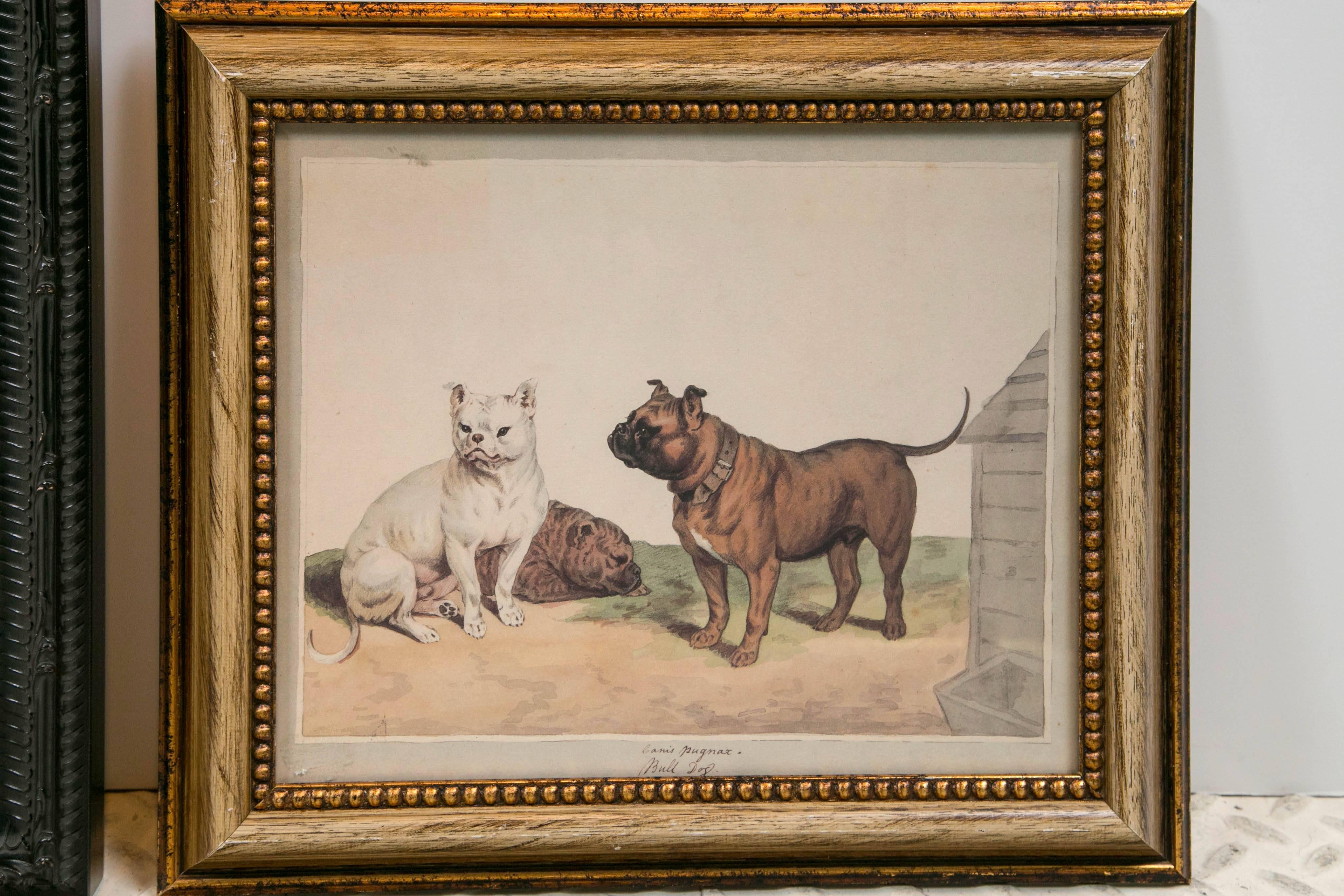 20th Century Collection of Various Bulldog Artworks For Sale