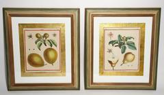 Pair of 18th Century Copper Engravings, Monceau, Custom Framed