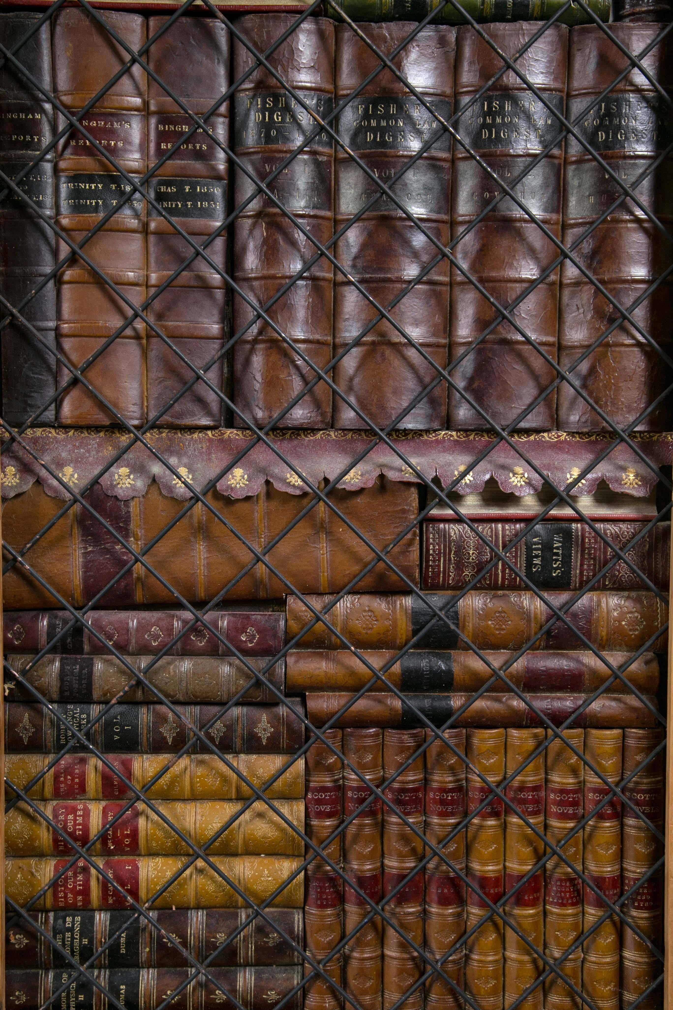 Embossed Pair of Faux Book Cabinet Doors