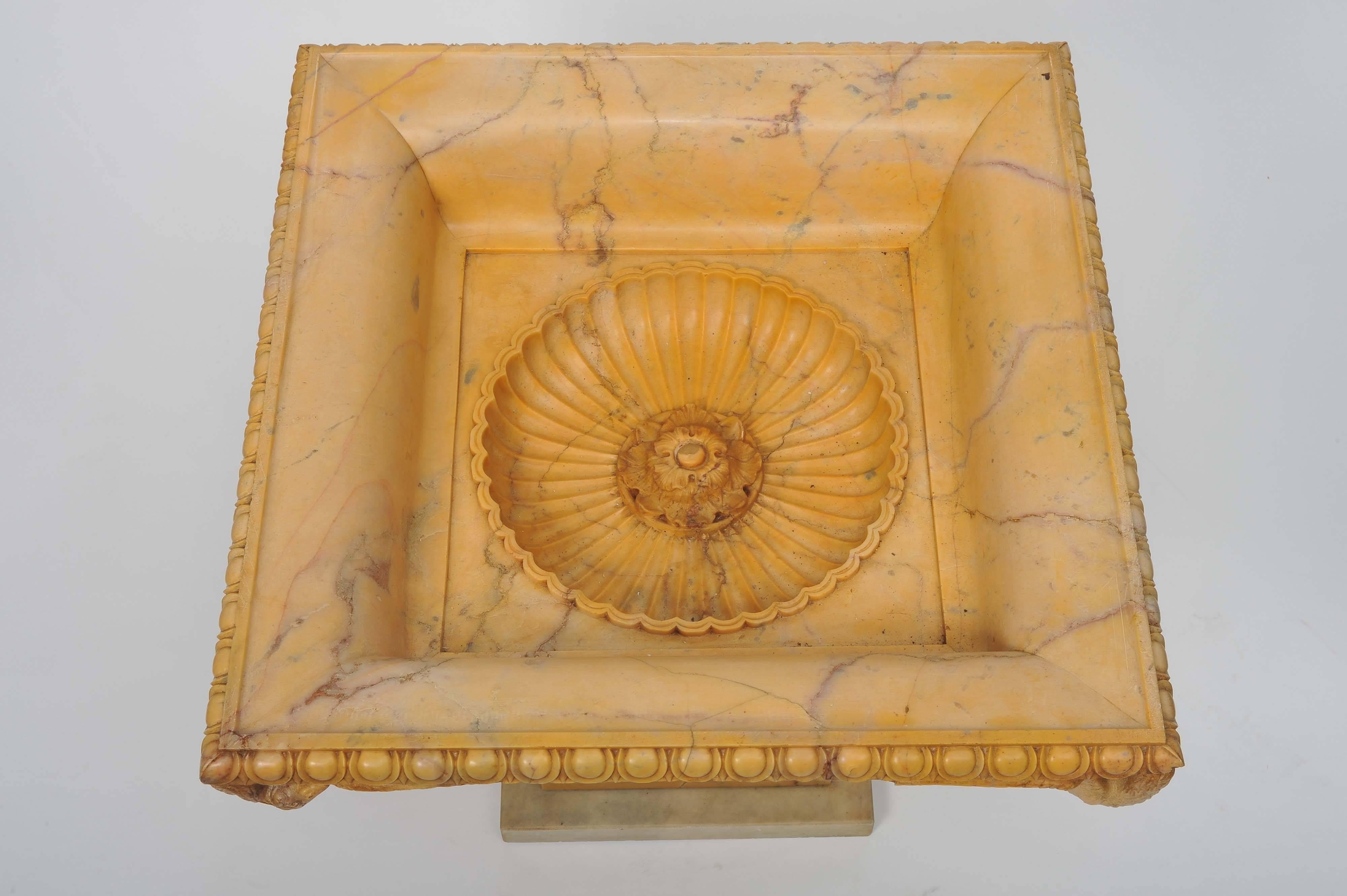 Early 19th Century Grand Tour Tazza in Giallo Antico Marble 3