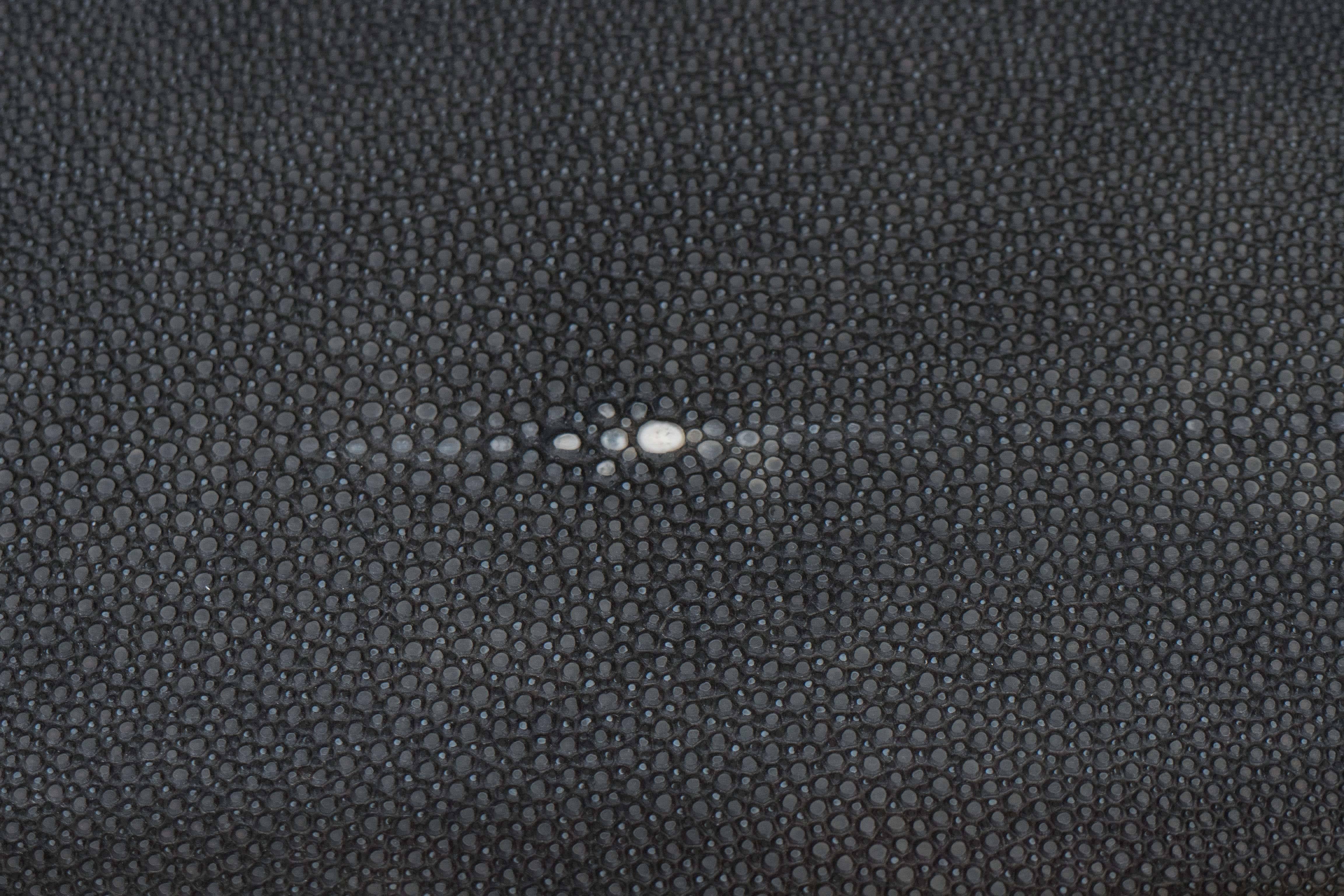 Onyx shagreen tray with bone trim.