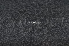Onyx Shagreen Tray with Bone Trim