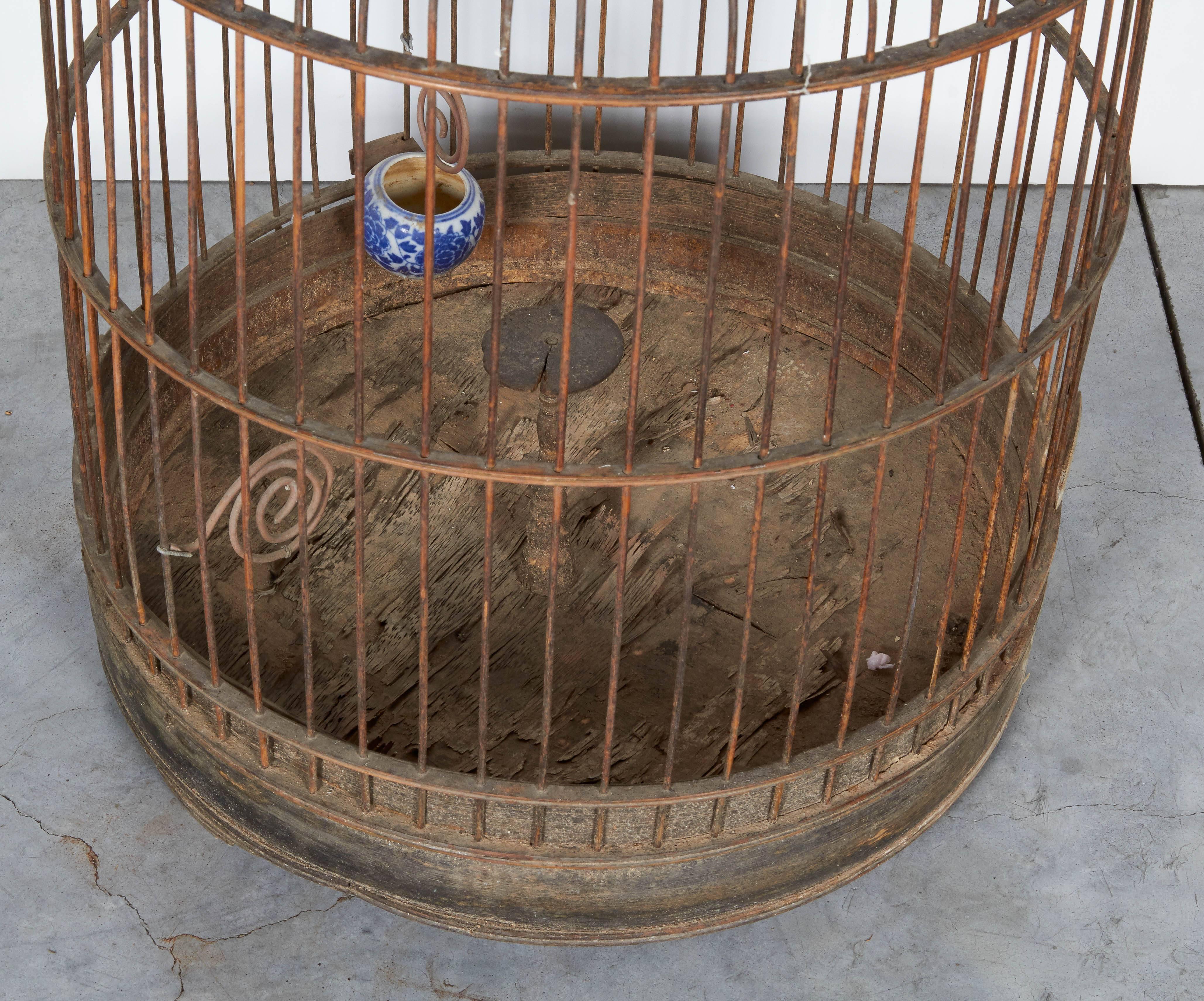 oriental bird cage