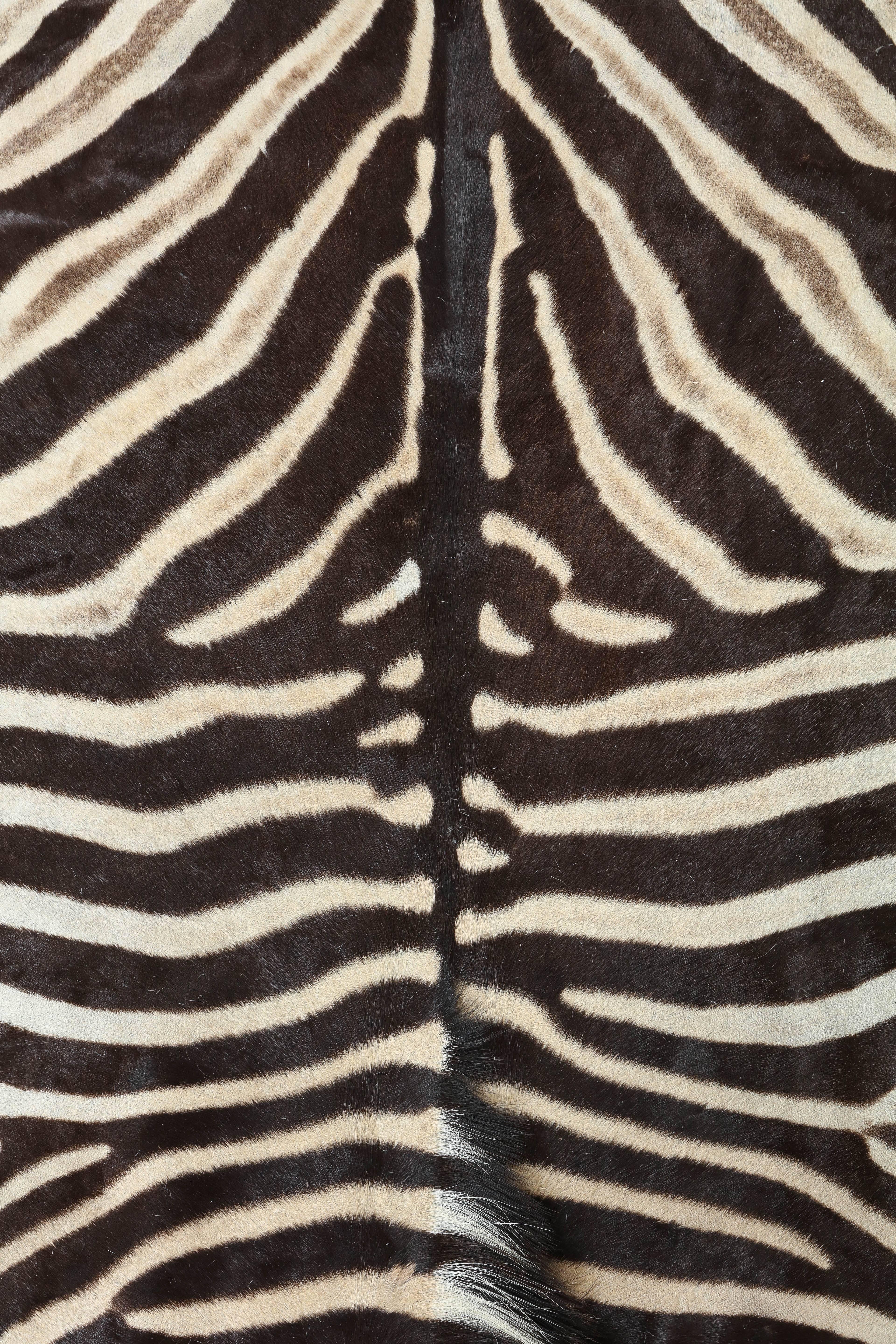 vintage zebra