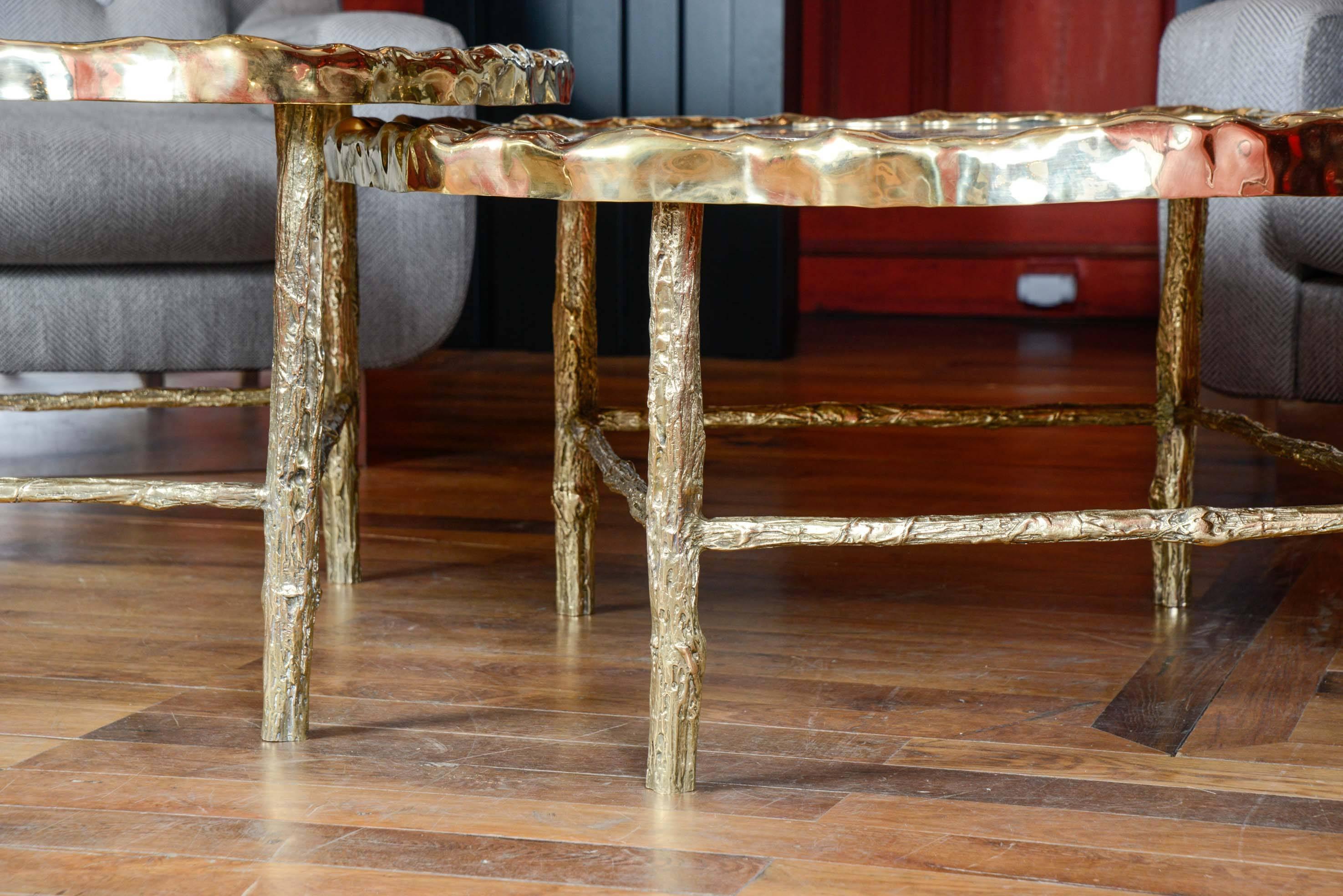 Modern Pair of Petrified Wood Low Tables