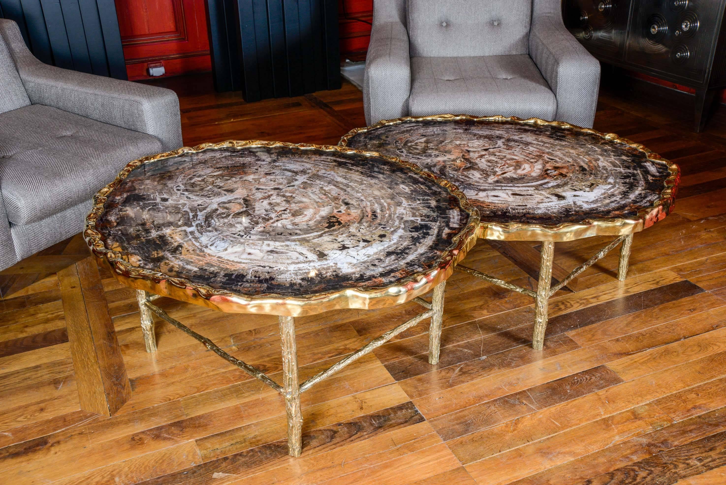 Brass Pair of Petrified Wood Low Tables