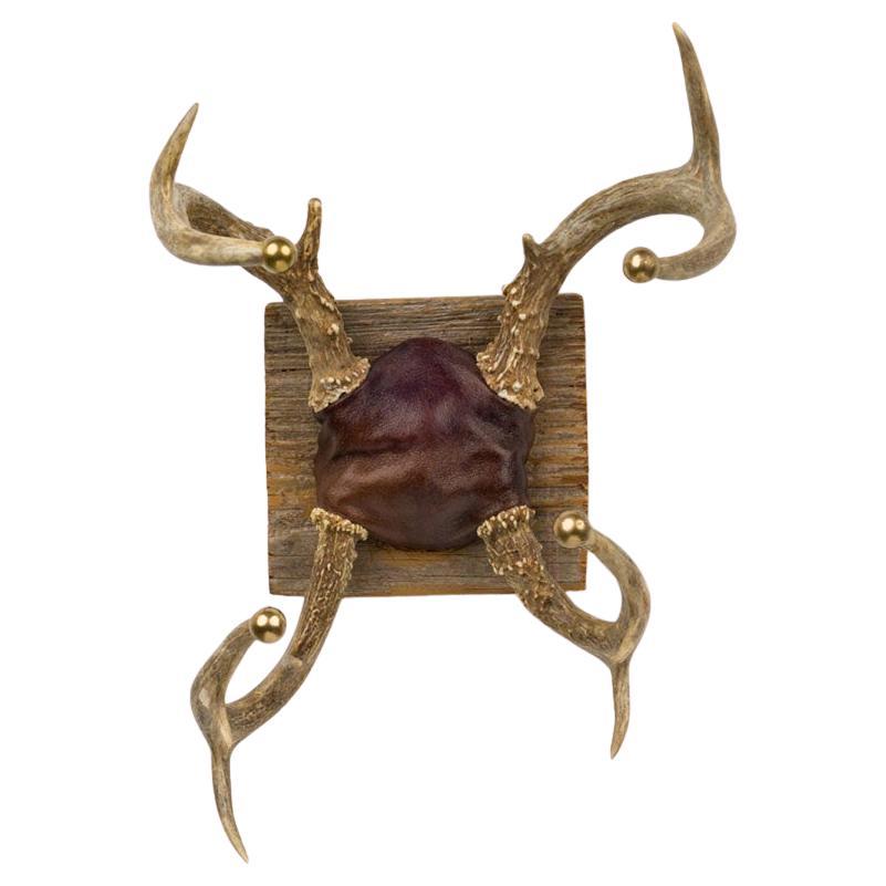 Rustic Deer Antler Wall Decor, Leather & Wood, Late 19th Century For Sale